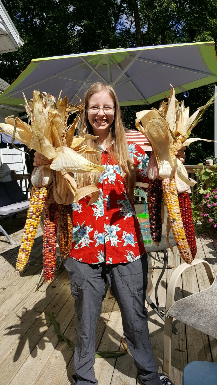 Rare Giant Indian Corn Seeds X50Colorful Massive Ears,OrnamentalEasy To Grow Rare Giant Indian Corn Seeds X50Colorful Massive Ears,OrnamentalEasy To Grow
