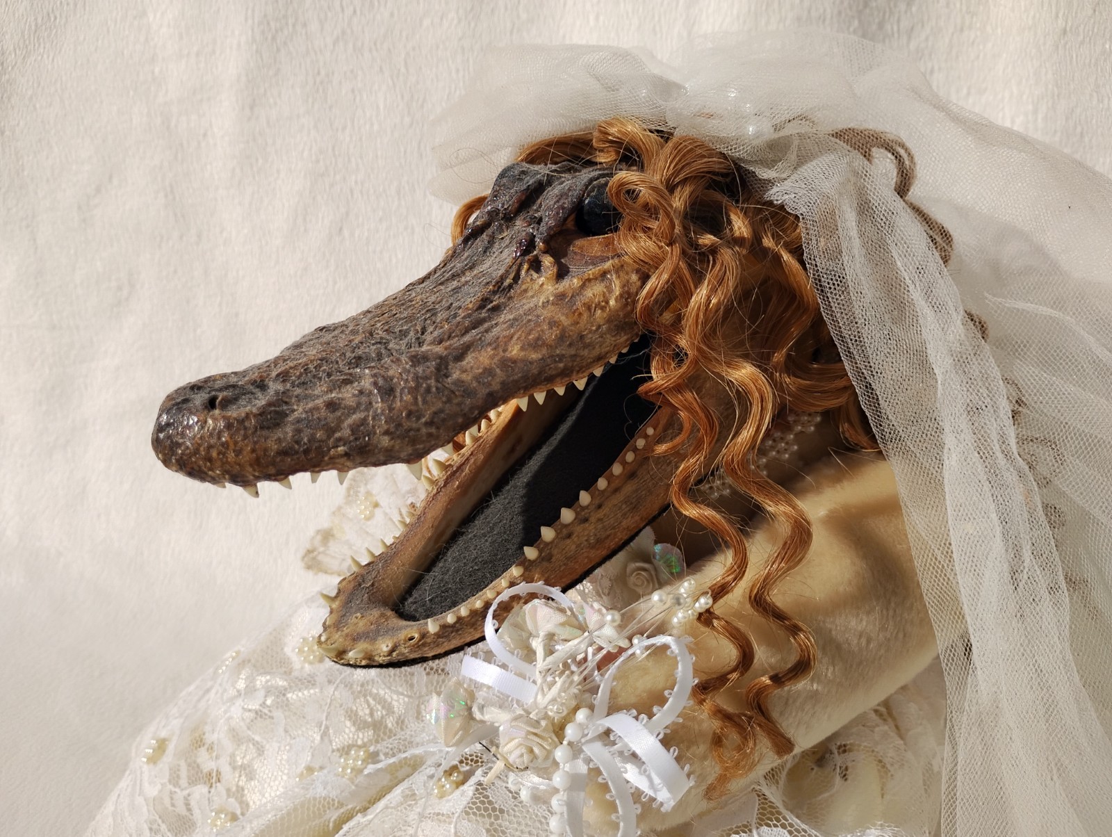 VINTAGE TAXIDERMY ALLIGATOR HEAD DOLL SWAMP PEOPLE WEDDING DAY BRIDE MAN CAVE VINTAGE TAXIDERMY ALLIGATOR HEAD DOLL SWAMP PEOPLE WEDDING DAY BRIDE MAN CAVE