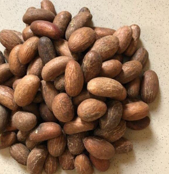 Organic Bitter Kola Nut (Garcinia Kola) 0.5LB W/Africa Organic Bitter Kola Nut (Garcinia Kola) 0.5LB W/Africa