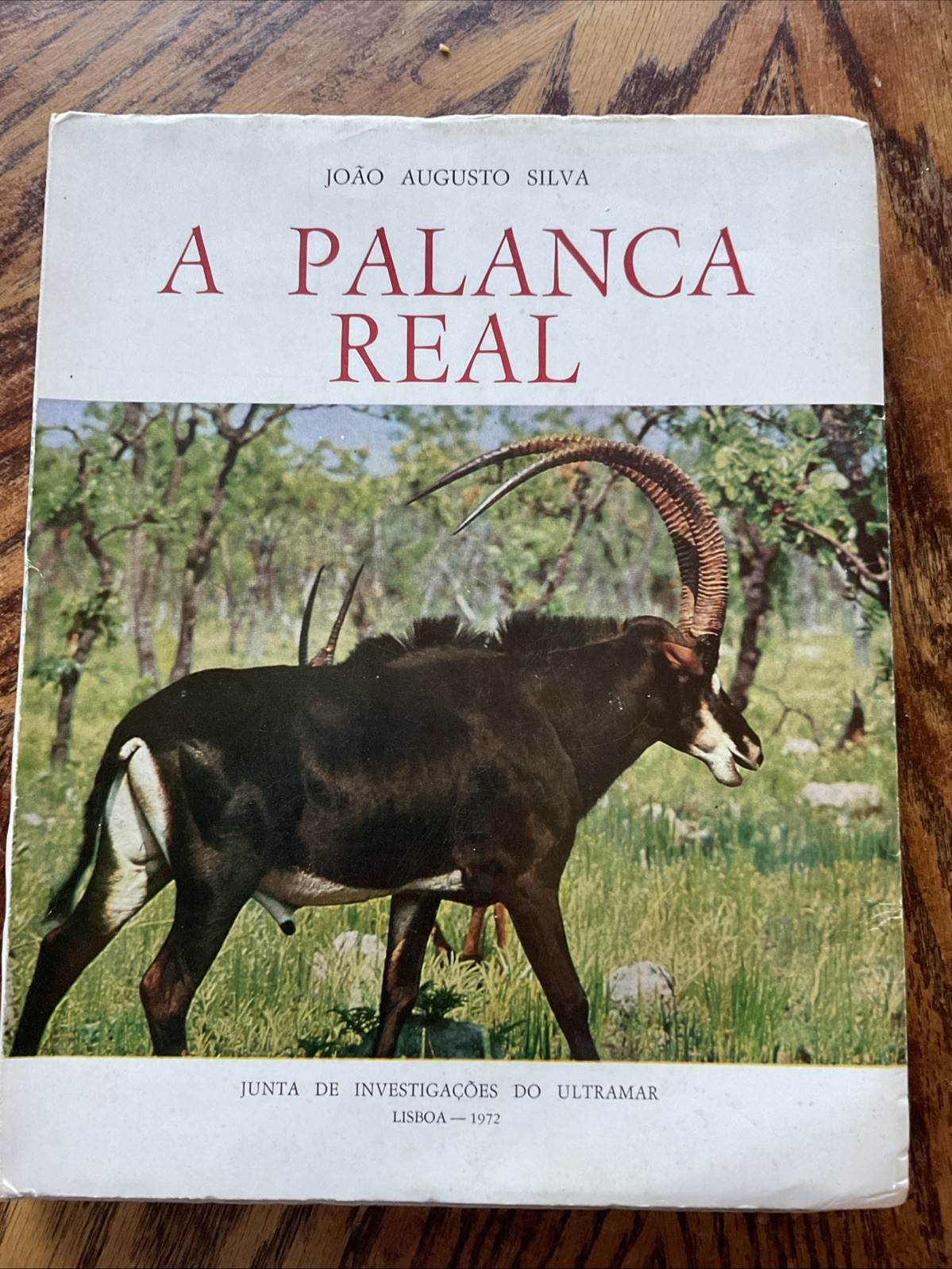 A Palanca Real (Giant Sable) By Joao Augusto Silva 1972 1st Ed. Biology.,SCARCE