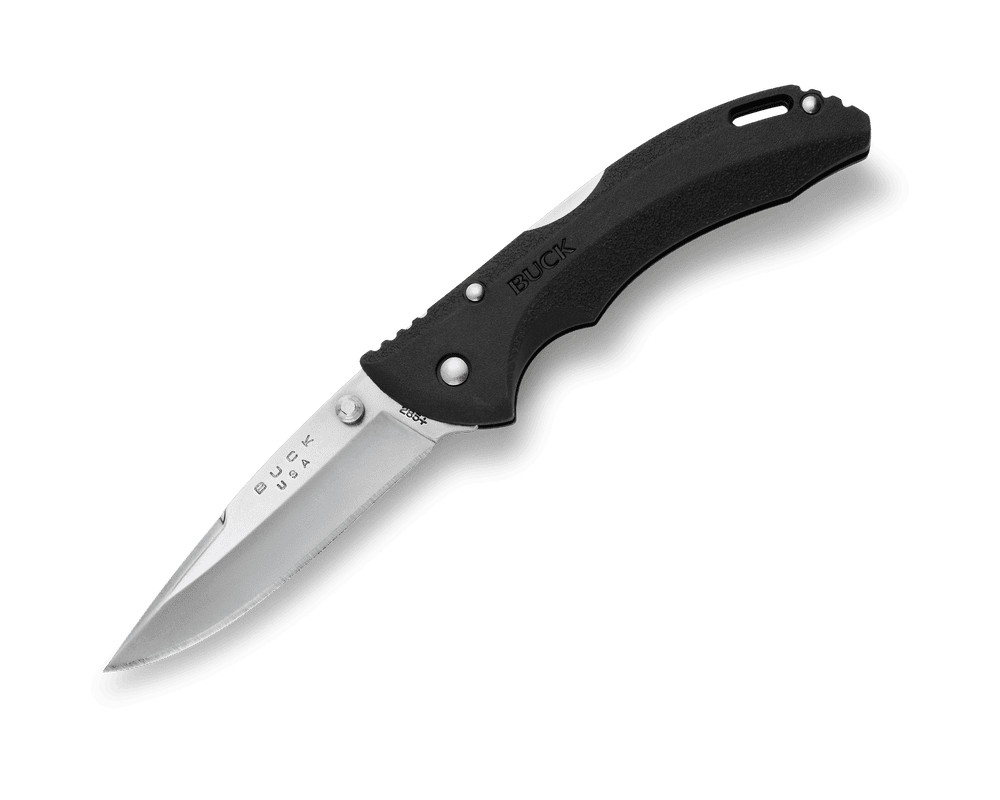 Buck Knives 0285 Bantam Folding Pocket Knife, 3.125 in 420HC Steel Drop Point