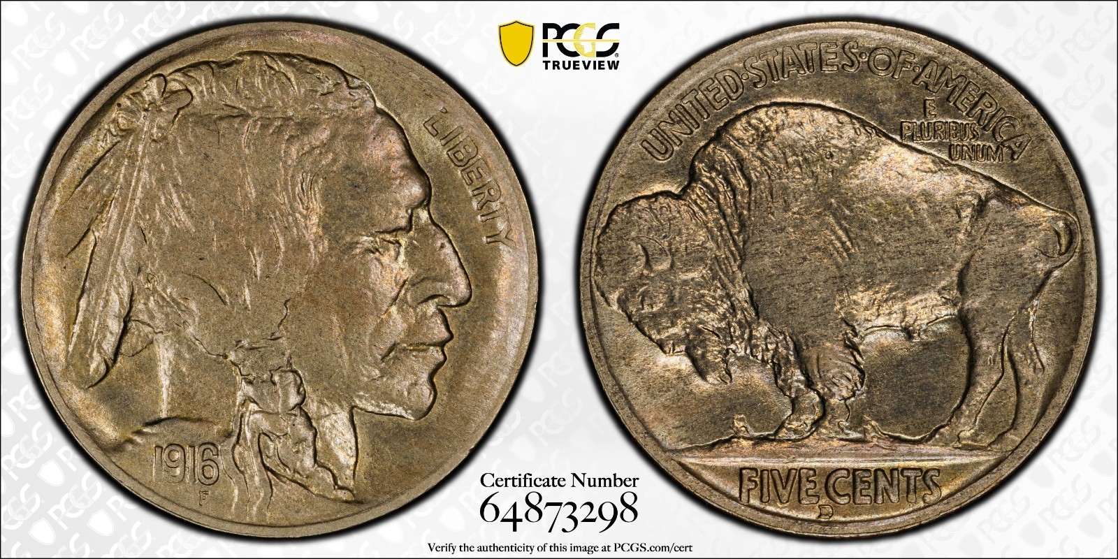 1916 D 5C BUFFALO NICKEL FRESH PCGS MS63 GRADING GREAT STRIKE