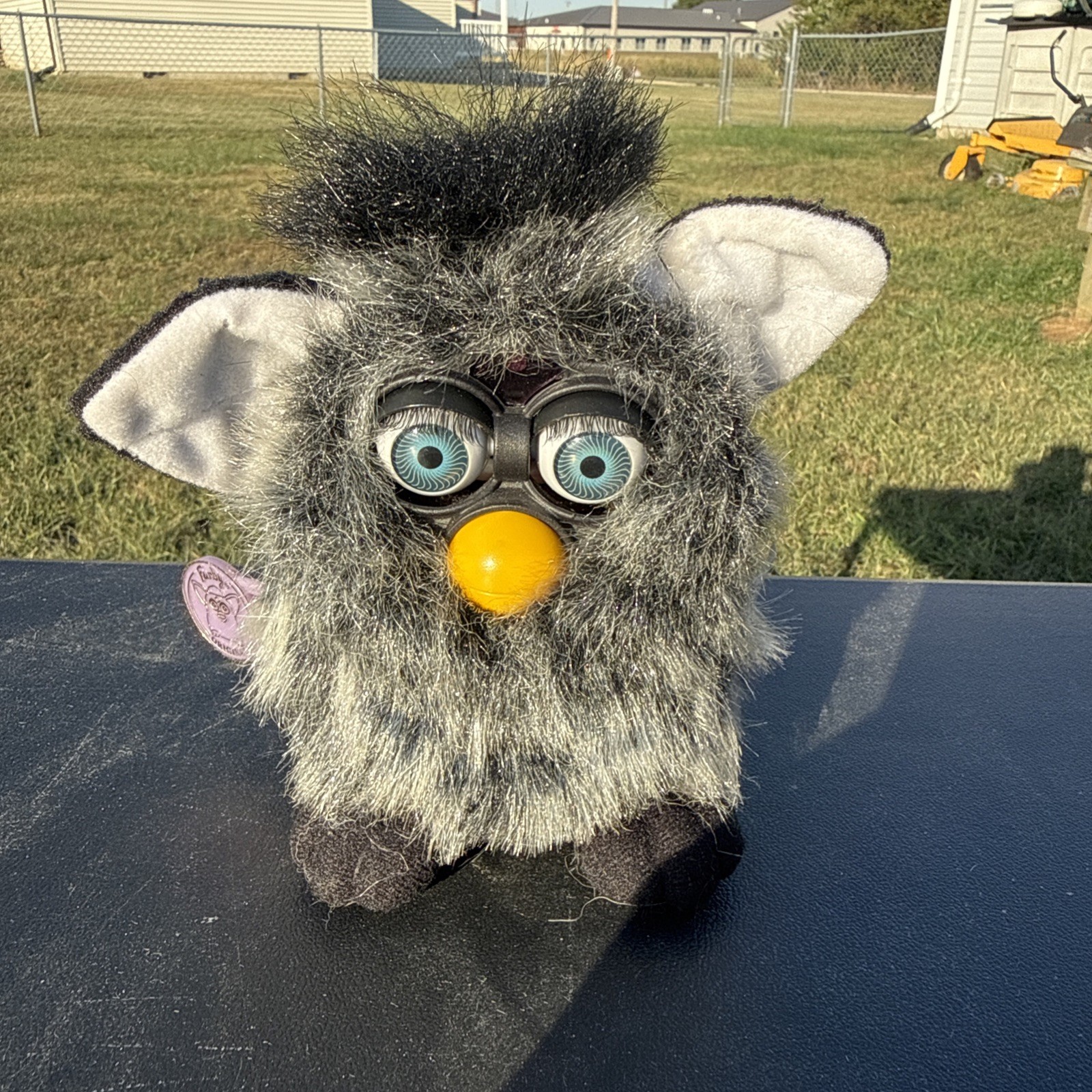 1999 Furby Series 7 Mink blue Eyes Tiger Electronics Tested Working.foreign lan 1999 Furby Series 7 Mink blue Eyes Tiger Electronics Tested Working.foreign lan