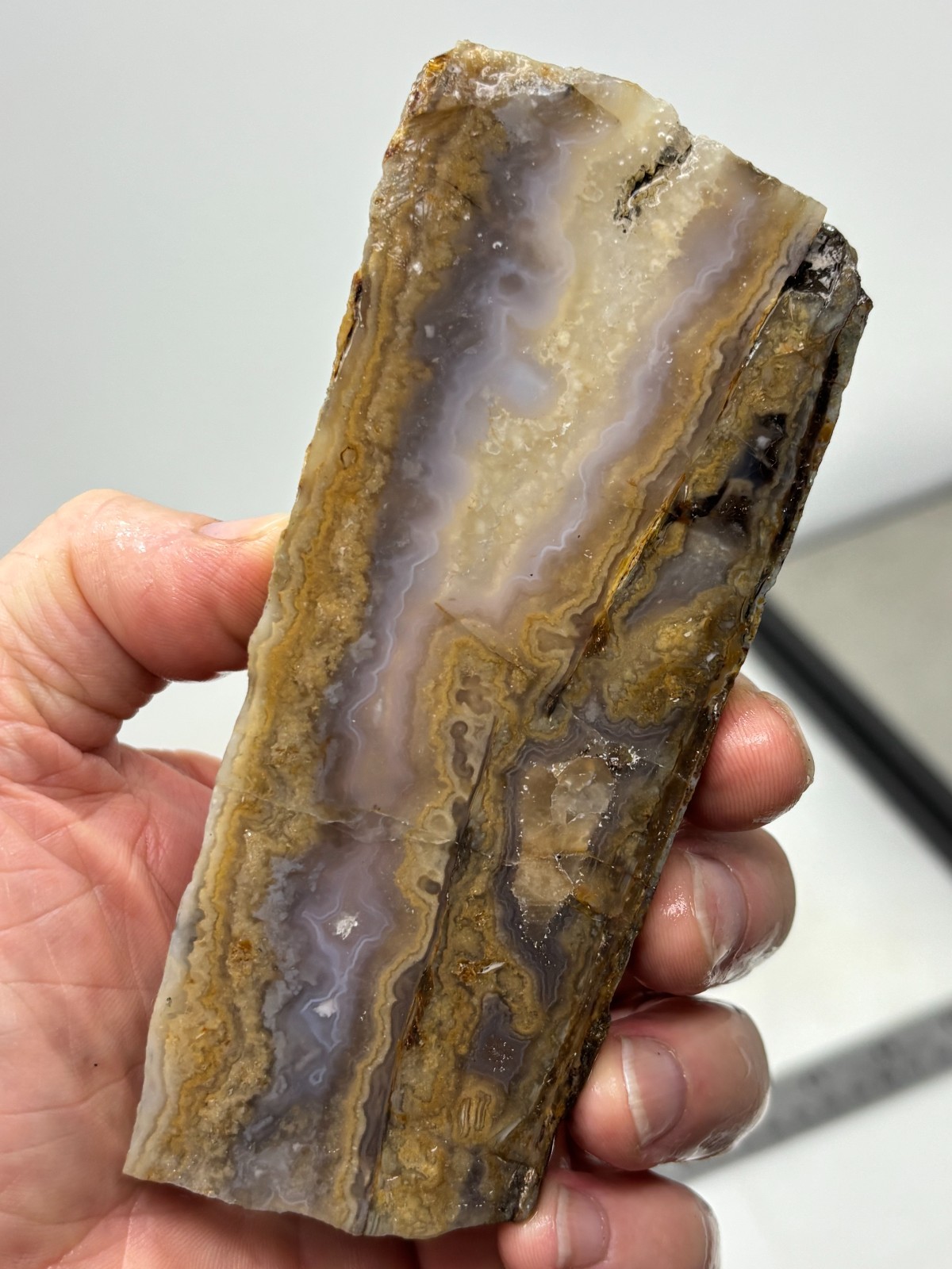 Old Stock Seam Agate Slab Cabbing Lapidary Collecting Combo Ship Avail