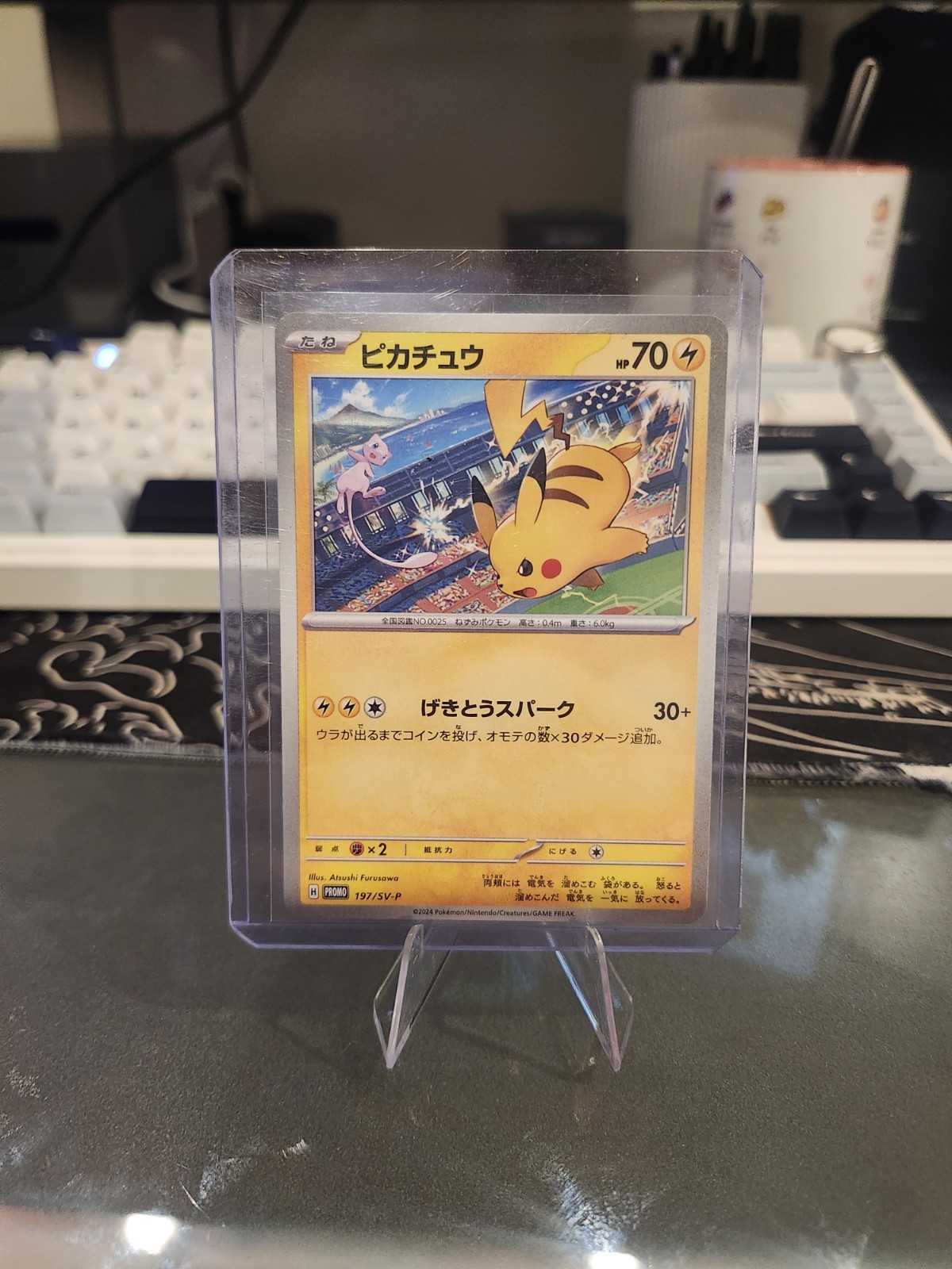 Pikachu - 197/SV-P 197/SV-P Sv-P Promotional Cards Regular (Japanese) Pikachu - 197/SV-P 197/SV-P Sv-P Promotional Cards Regular (Japanese)