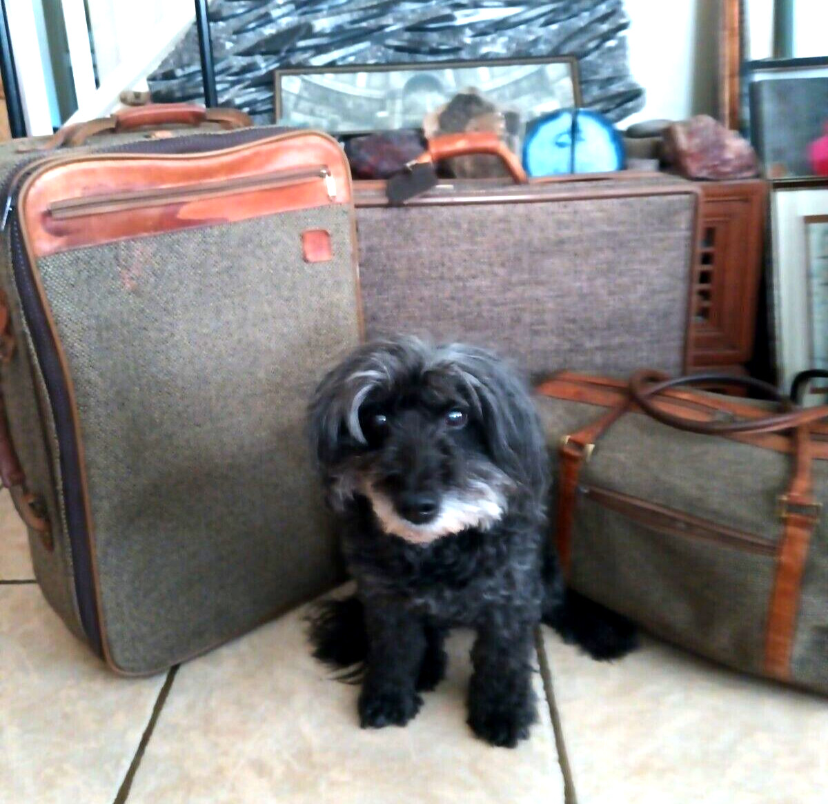 VINTAGE RETO HEARTMANN TWEED & LEATHER 3 PIECE TRAVEL LUGGAGE SET