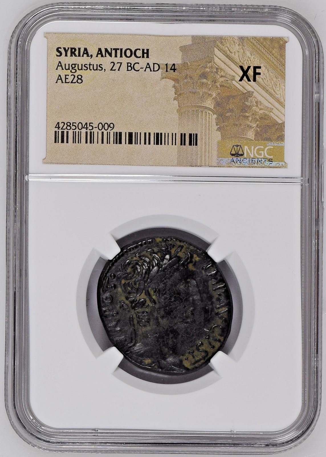 Roman Provincial - Augustus 5-4 BC AE28 NGC XF Twelve Caesars Antioch