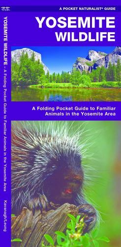 Yosemite Wildlife (Nature Observation North America) Kavanagh Waterford Pres...