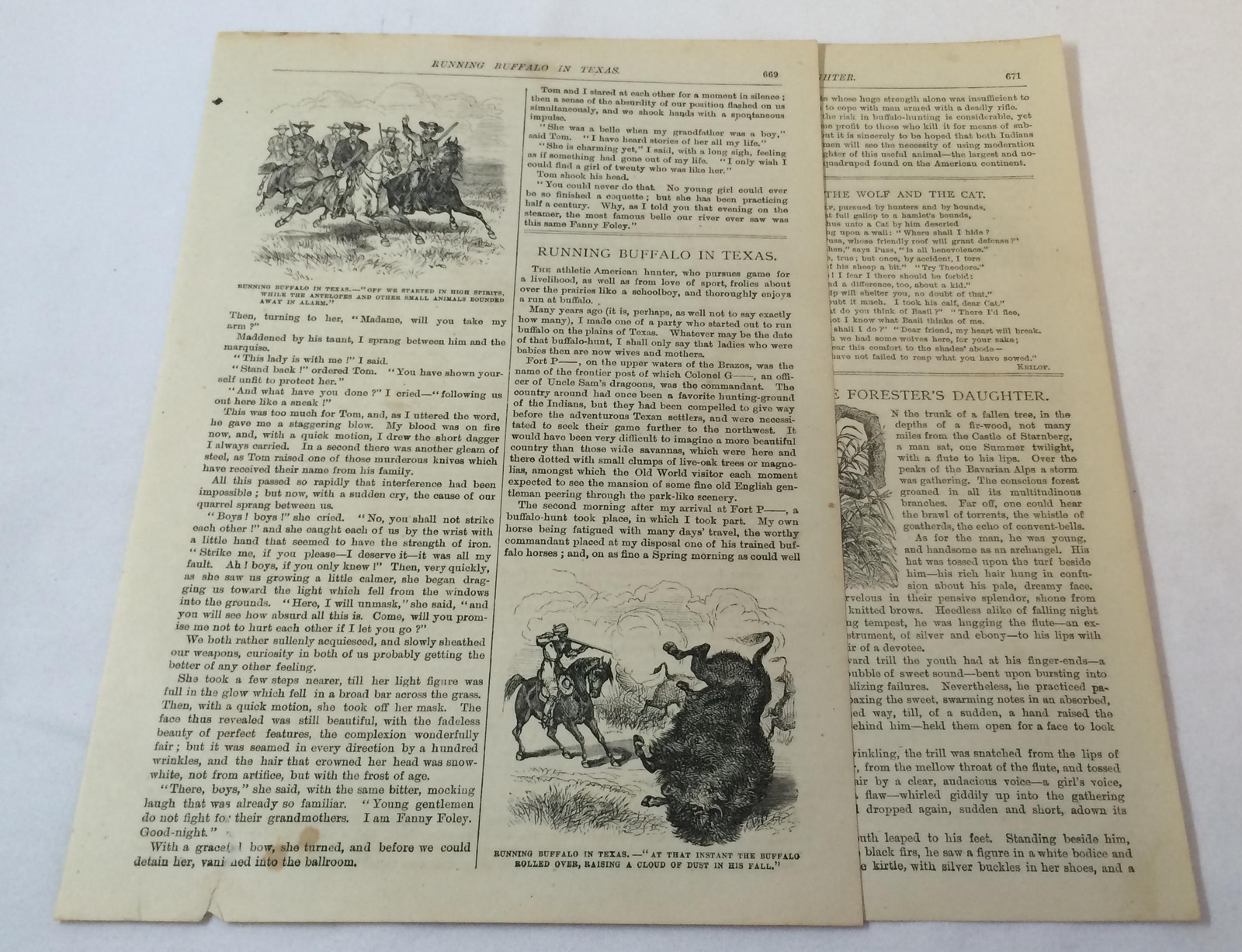 1880 article ~ RUNNING BUFFALO IN TEXAS 1880 article ~ RUNNING BUFFALO IN TEXAS