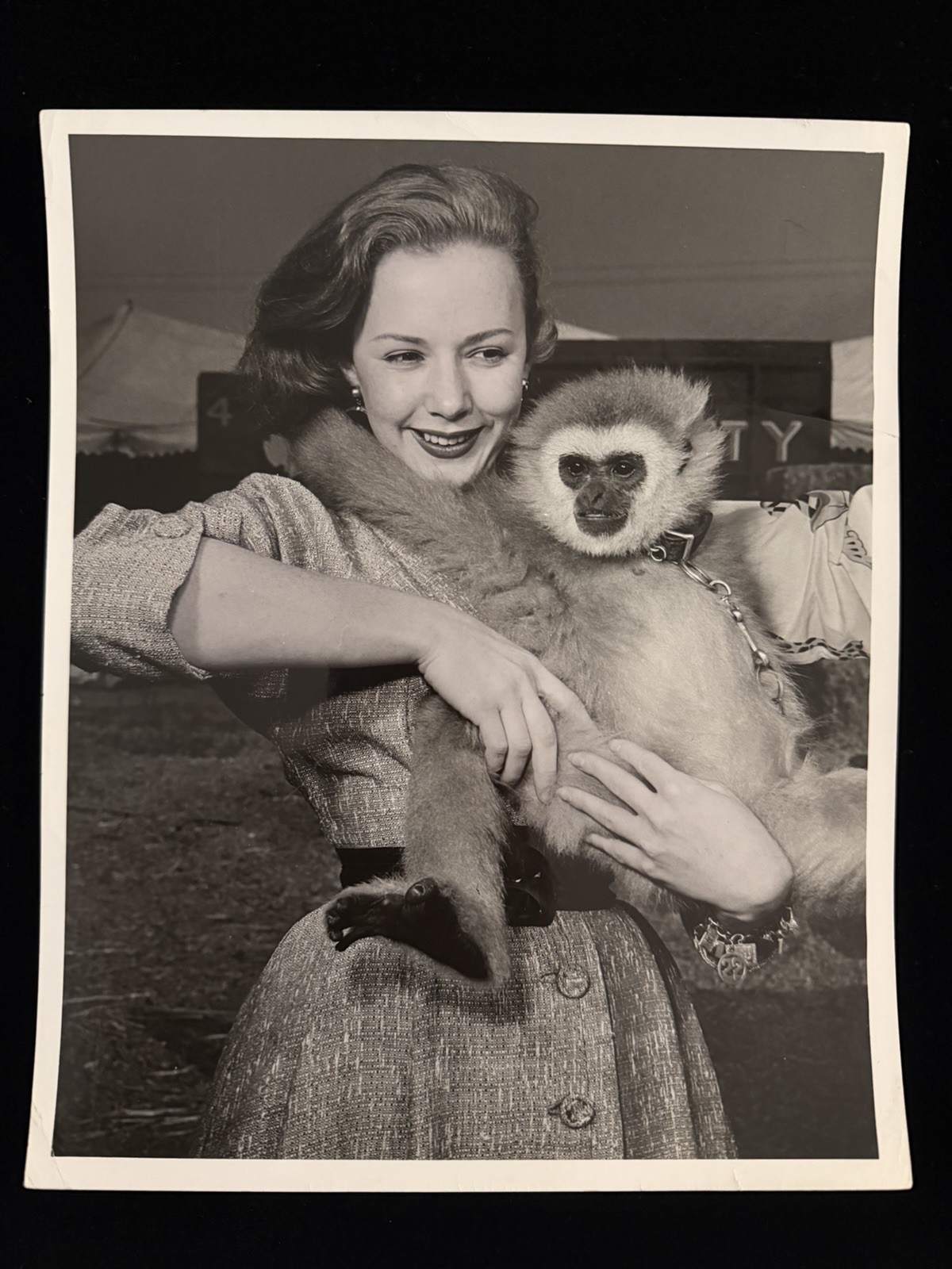 Piper Laurie Original Actress 8x10 B&W Photo 1954 - Unreleased From Estate