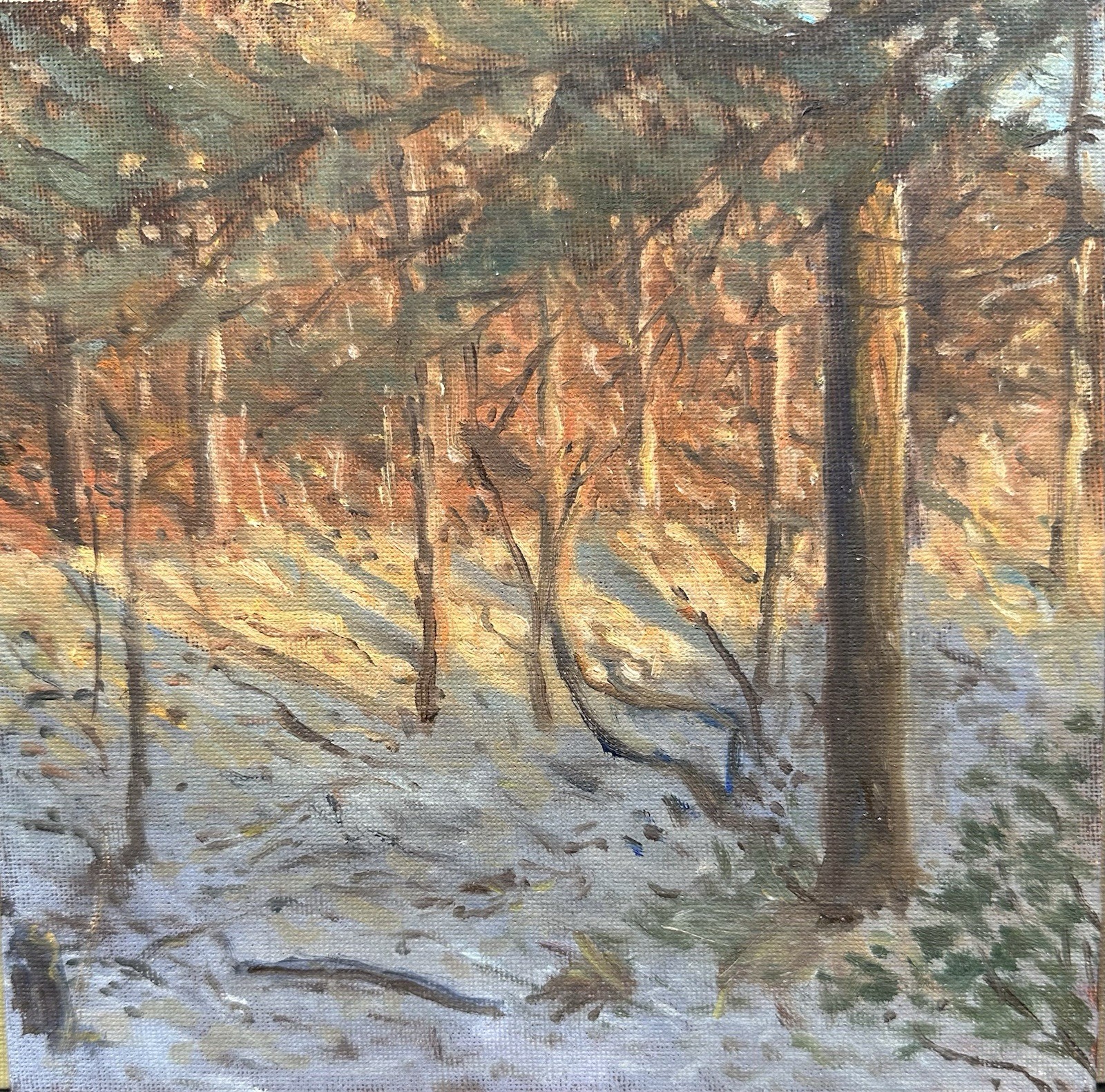 Sunset On The Dune - Original Oil Painting Sunset On The Dune - Original Oil Painting