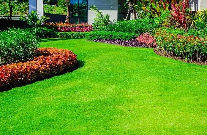 ๐ฟ 10,000 Emerald Zoysia Grass Seeds โ Premium Lawn Turf Drought & Heat Tolerant ๐ฟ 10,000 Emerald Zoysia Grass Seeds โ Premium Lawn Turf Drought & Heat Tolerant