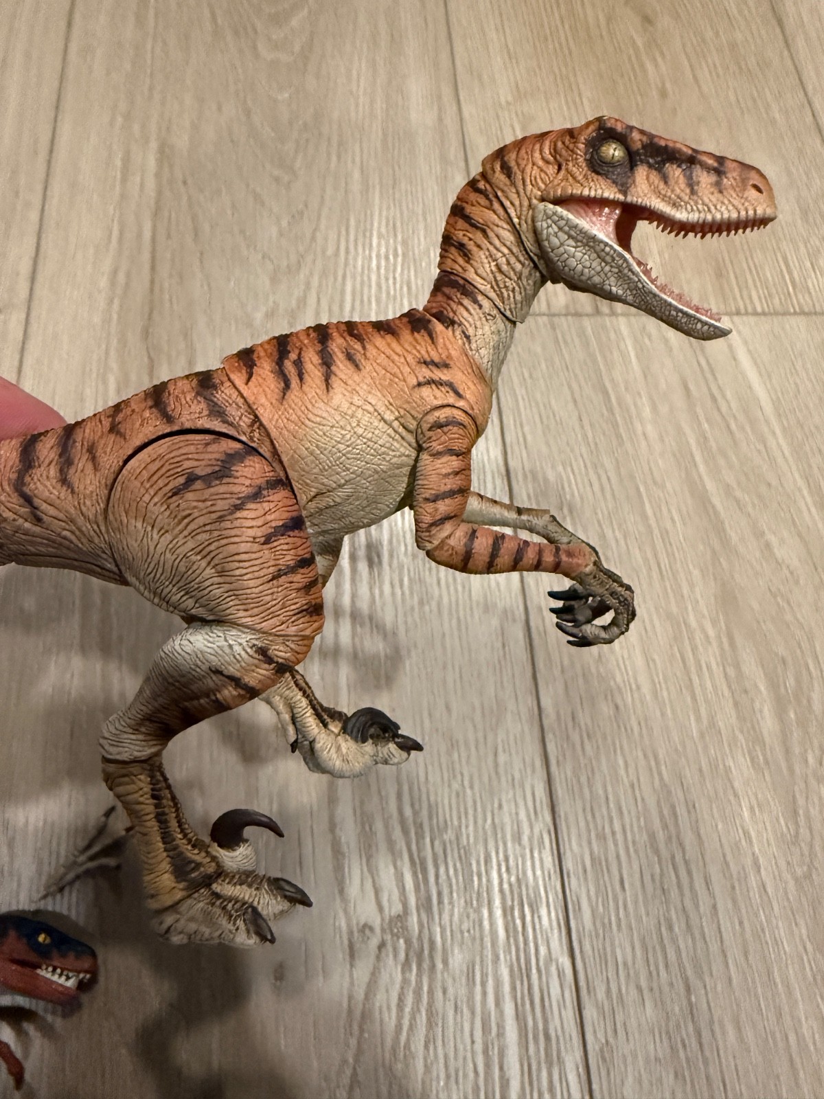 Nanmu Studio Smart Series Raptor Tiger Blade 174118 (US Seller)