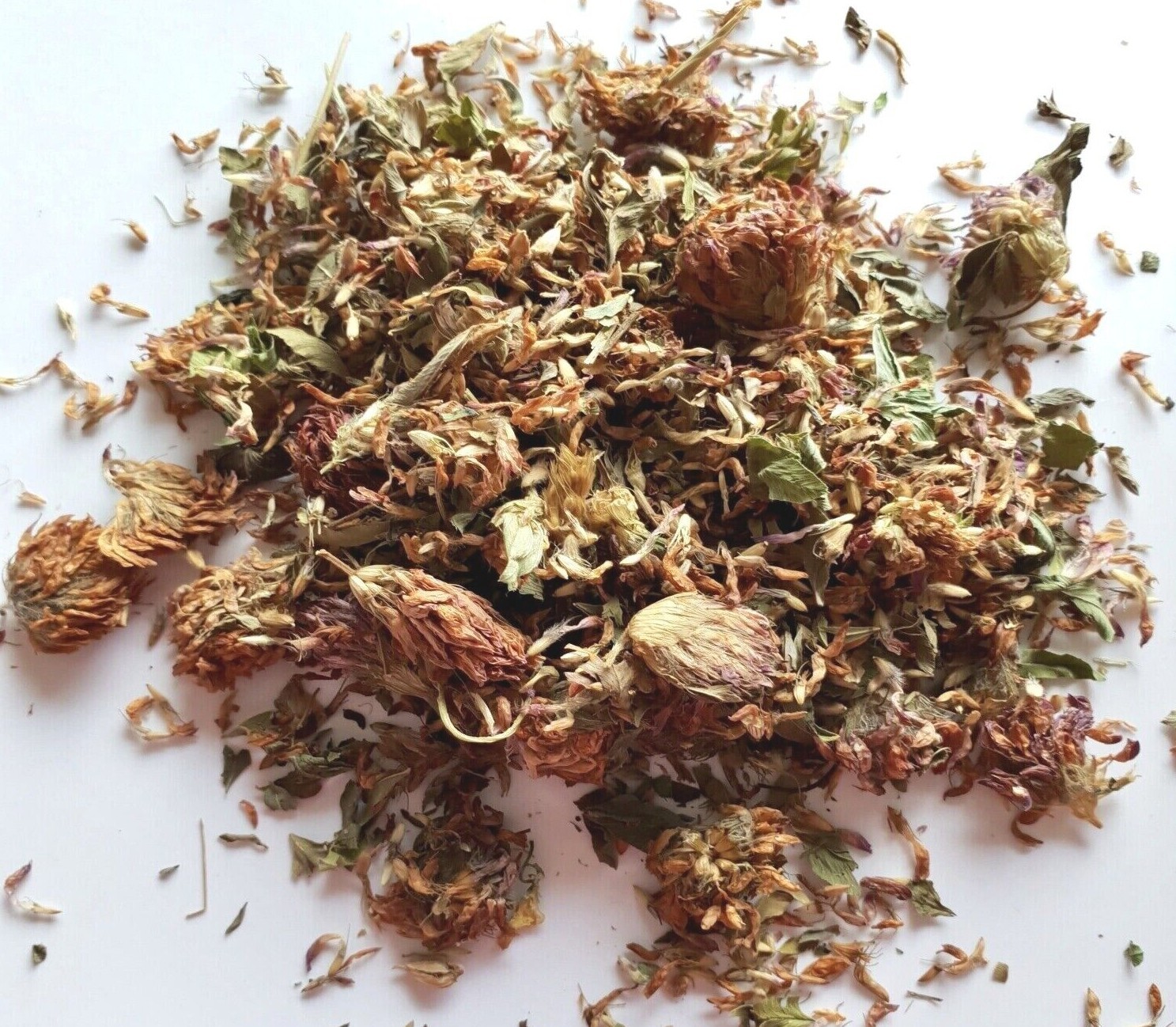 Red Clover Tops Wild Crafted / 1oz to 16oz / Trifolium Pratense / 100% Premium