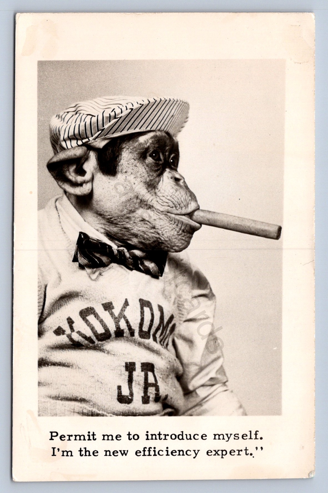 K9/ Kokomo RPPC Postcard c1940s talking Monkey Dressed Cigar Side Show 481 K9/ Kokomo RPPC Postcard c1940s talking Monkey Dressed Cigar Side Show 481