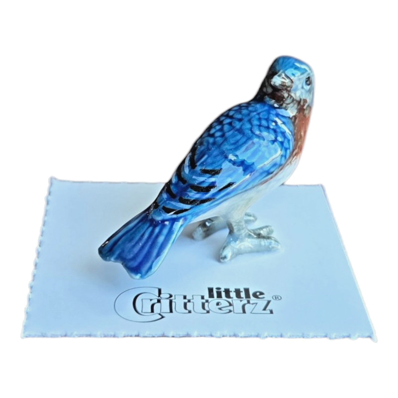 LITTLE CRITTERZ Eastern Bluebird \