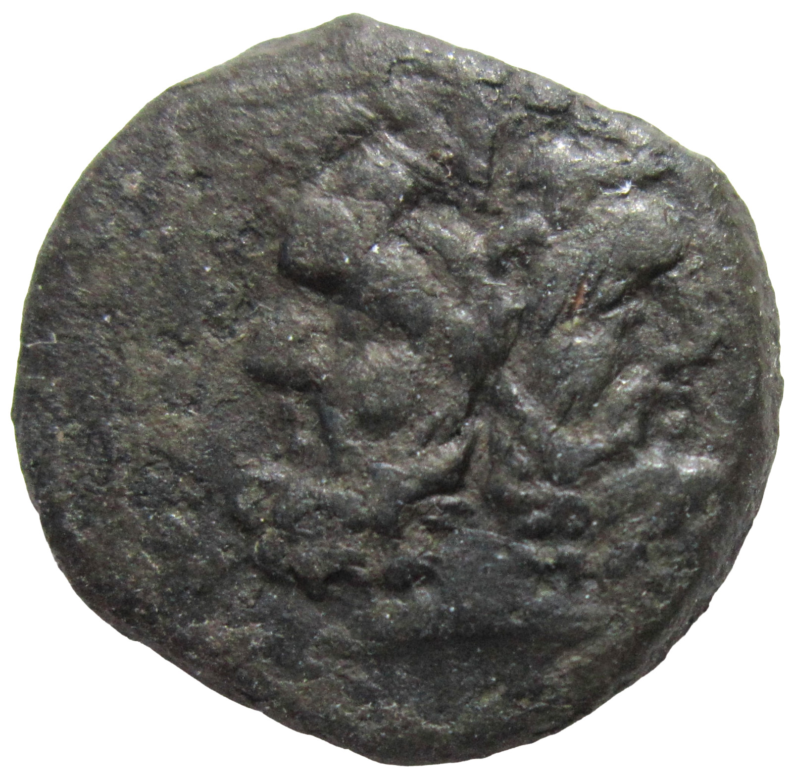 SICILY, UNCERTAIN MINT (PANORMOS)?.  AE 21.  CIRCA 200-190 BC. SHE-WOLF REVERSE.