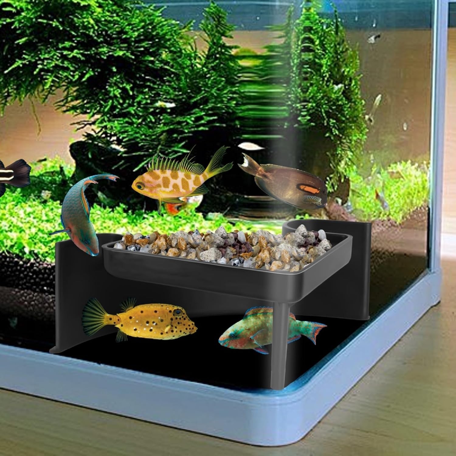 Underground Aquarium Cave with Viewing Window – 2-Hole Corner Fish Tank Hideo Underground Aquarium Cave with Viewing Window – 2-Hole Corner Fish Tank Hideo