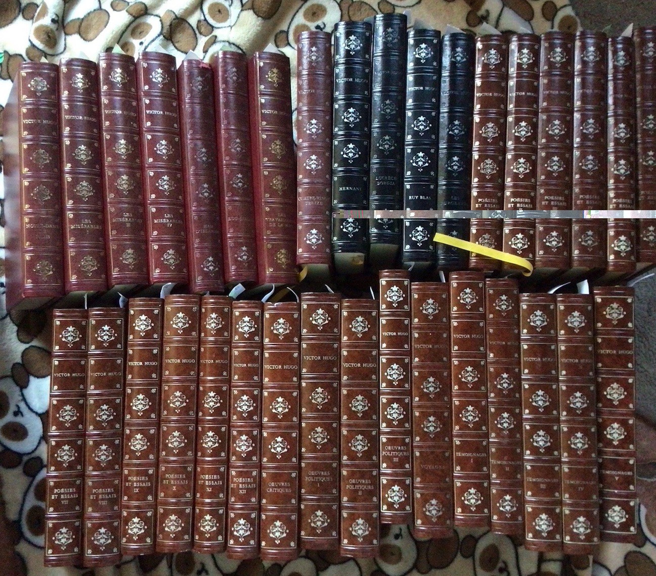 VICTOR HUGO 34 Books Collection Distributed By The Cercle Du Bibliophile