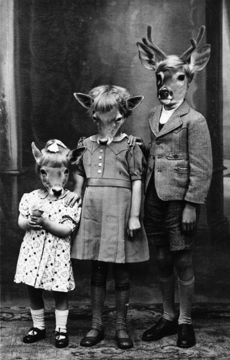 Creepy deer heads circa 1900 8.5x11 Photo Reprint