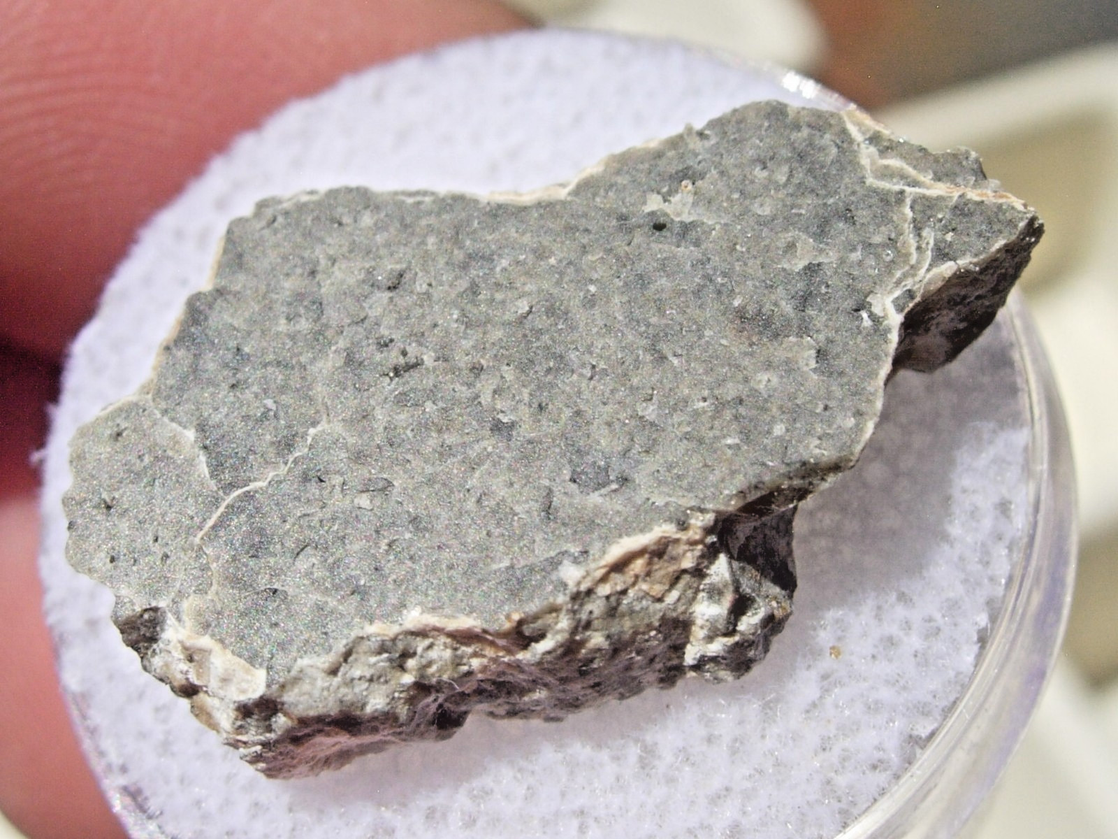 2.70 grams 24x14x4mm NEA 083 Lunar slice fragment Moon Meteorite with a COA