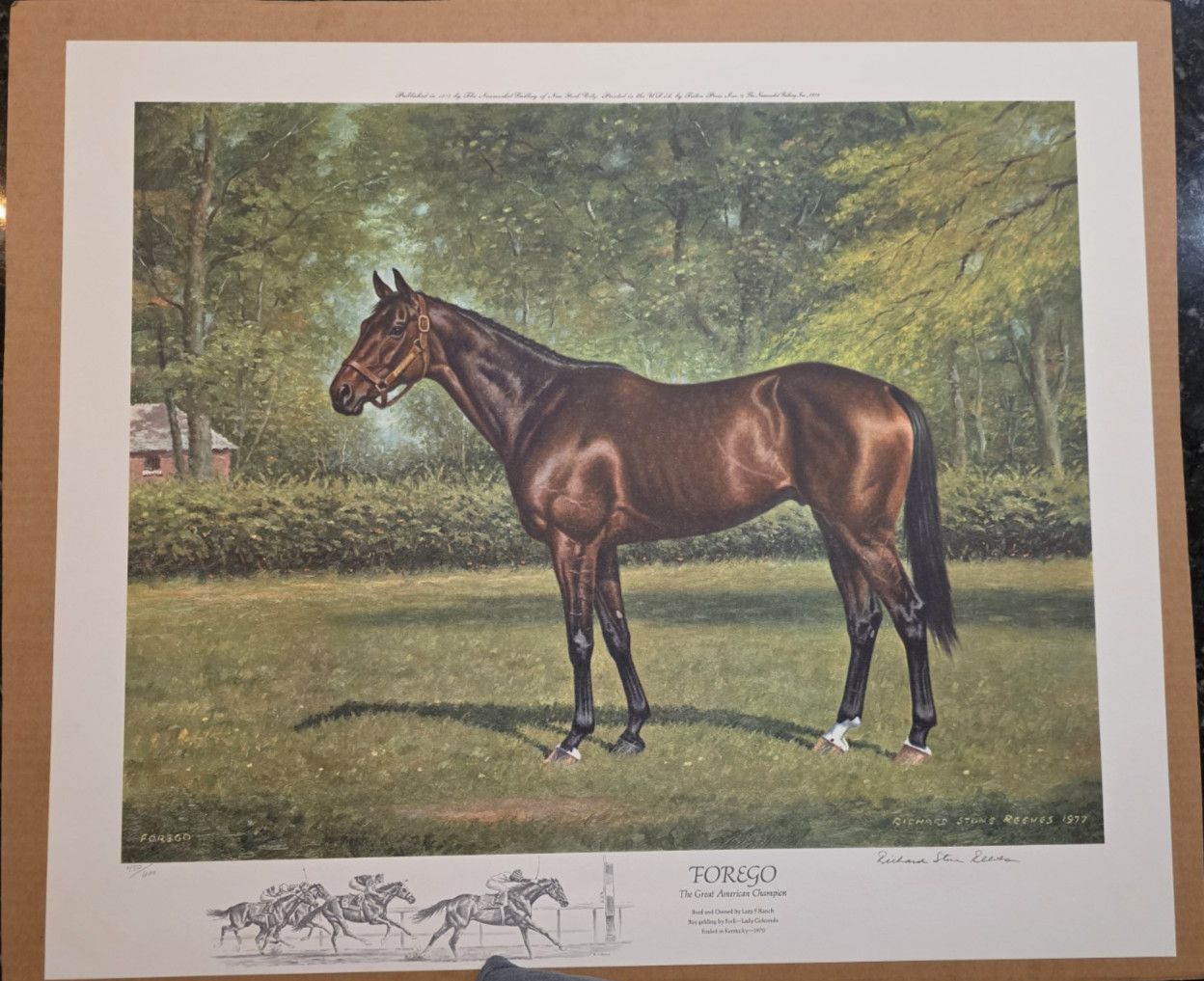 1978 Richard Stone Reeves Print, Forego, Great American Champion, 450/600