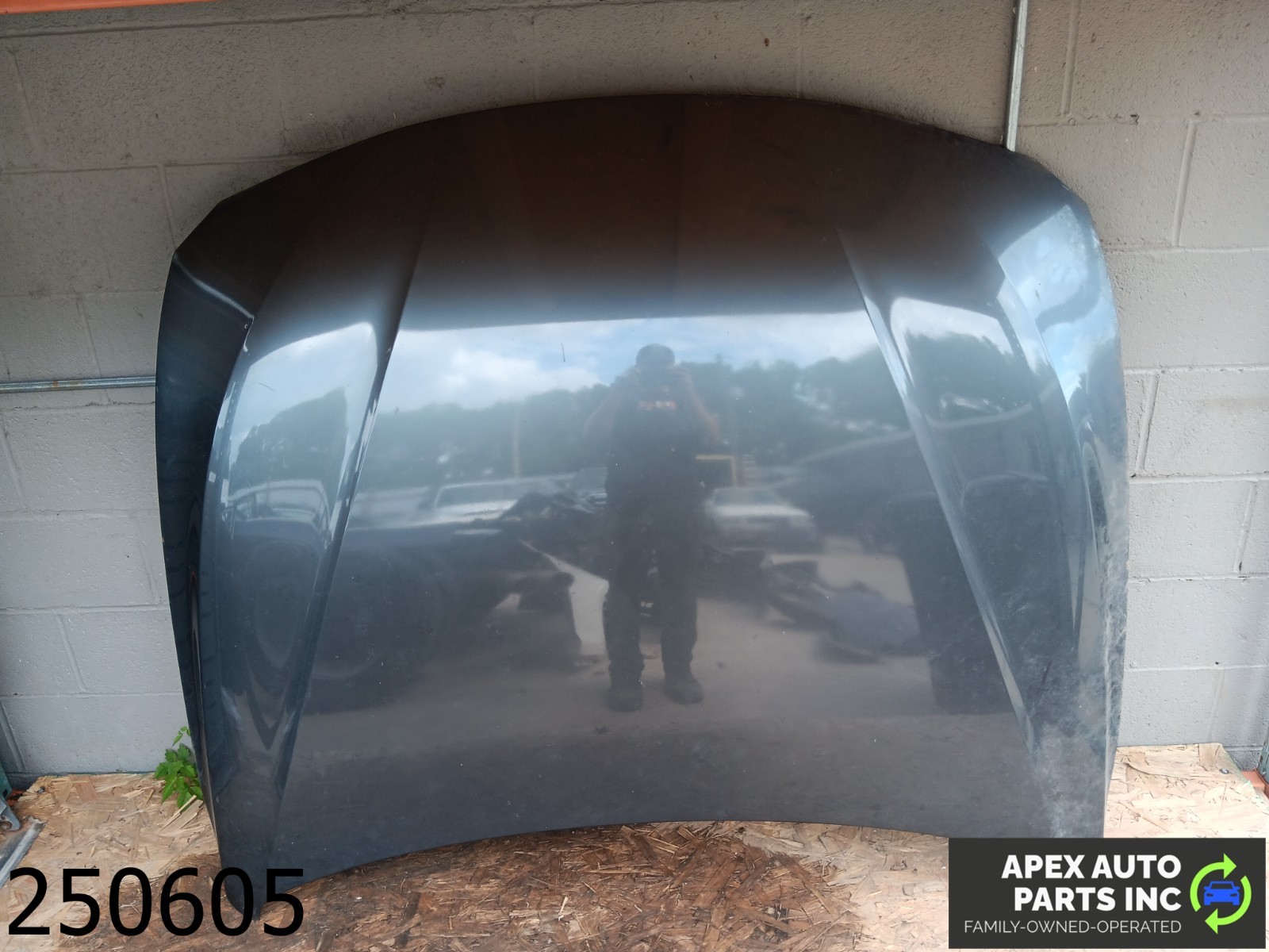 *NO SHIPPING* 2012-2015 BMW 320i 2.0L Hood Bonnet Shell Cover Panel Assembly