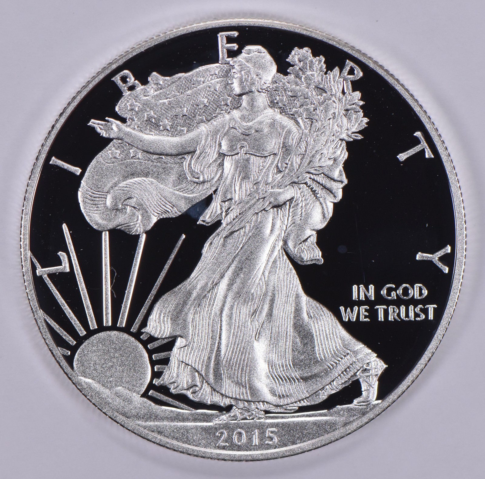 2015-W American Silver Eagle Proof Coin 1 Oz
