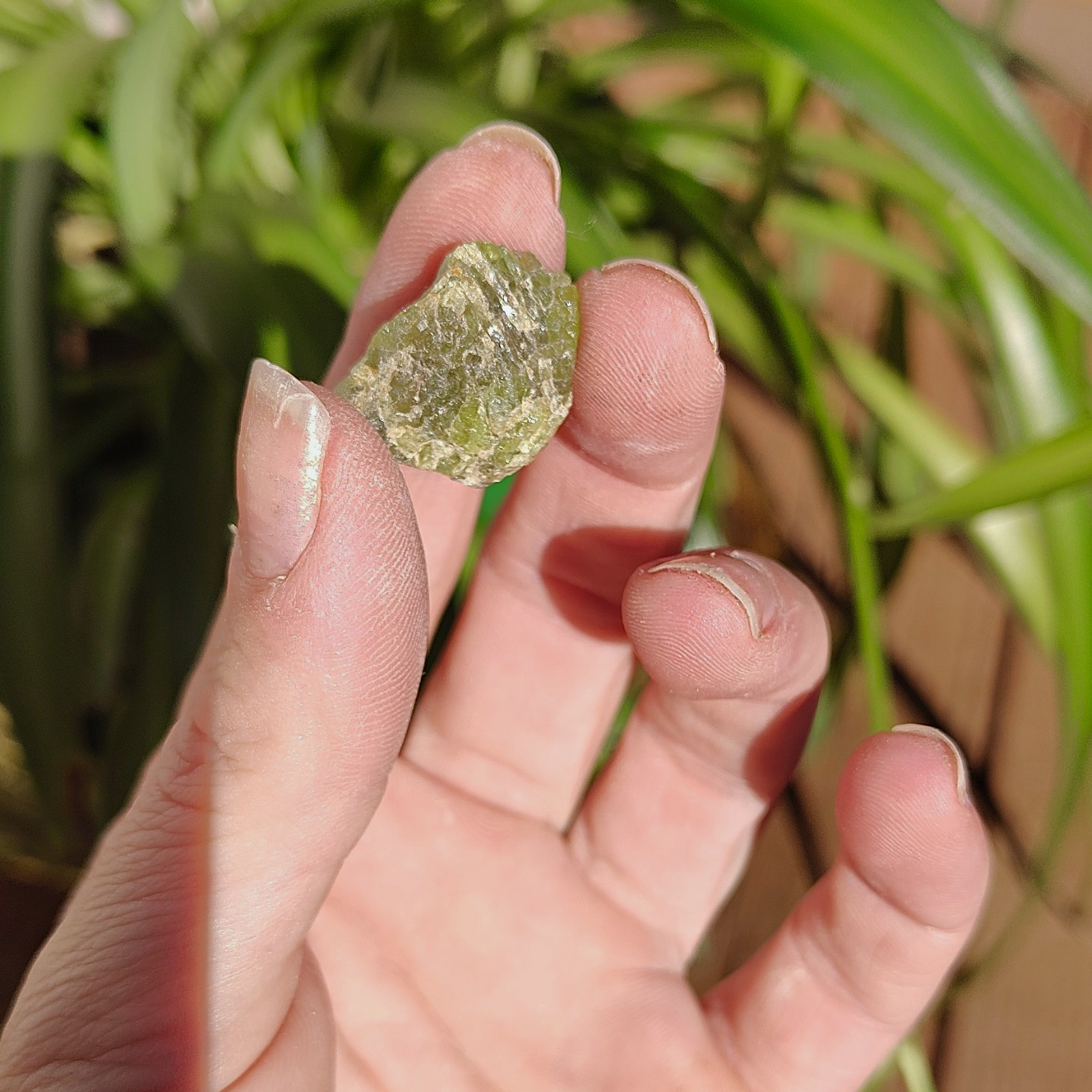 Peridot. Naturally Earth Formed Green Crystal Specimen. Peridot. Naturally Earth Formed Green Crystal Specimen.