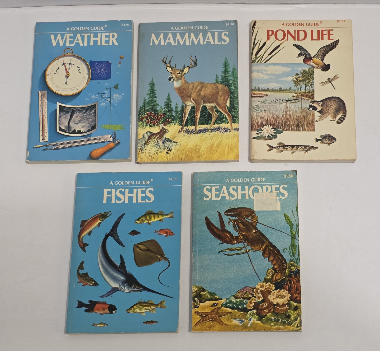 Vintage Golden Guide Books Lot of 5 Nature Science Field Guides Crisp Spines