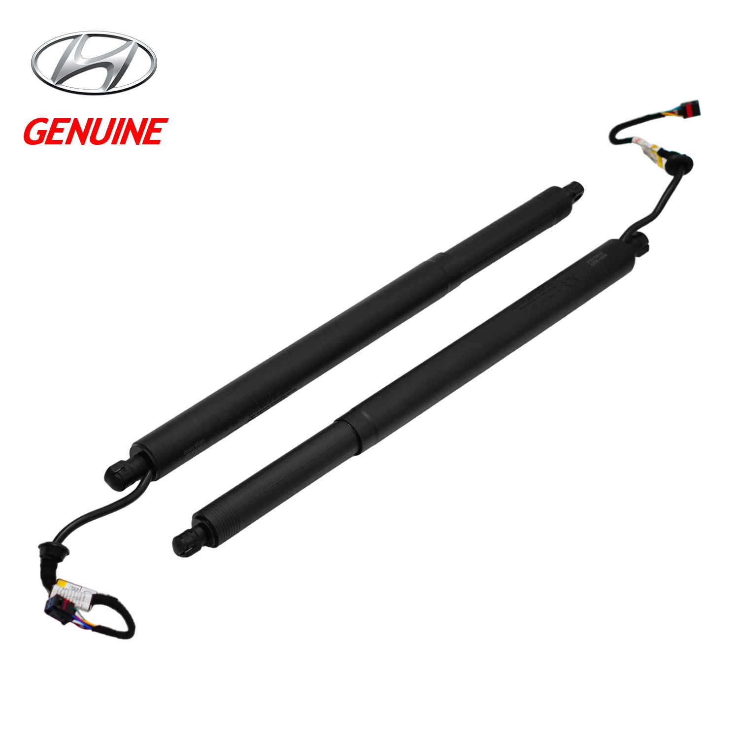 OEM Genuine Hyundai Palisade 20-24 Tailgate Lift Supports 81831S8100 81841S8100