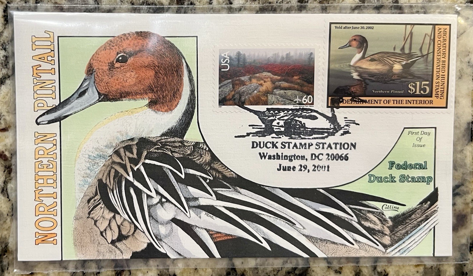2011 Northern Pintail Federal Duck Stamp– $15 Migratory Bird Stamp & USA 60¢