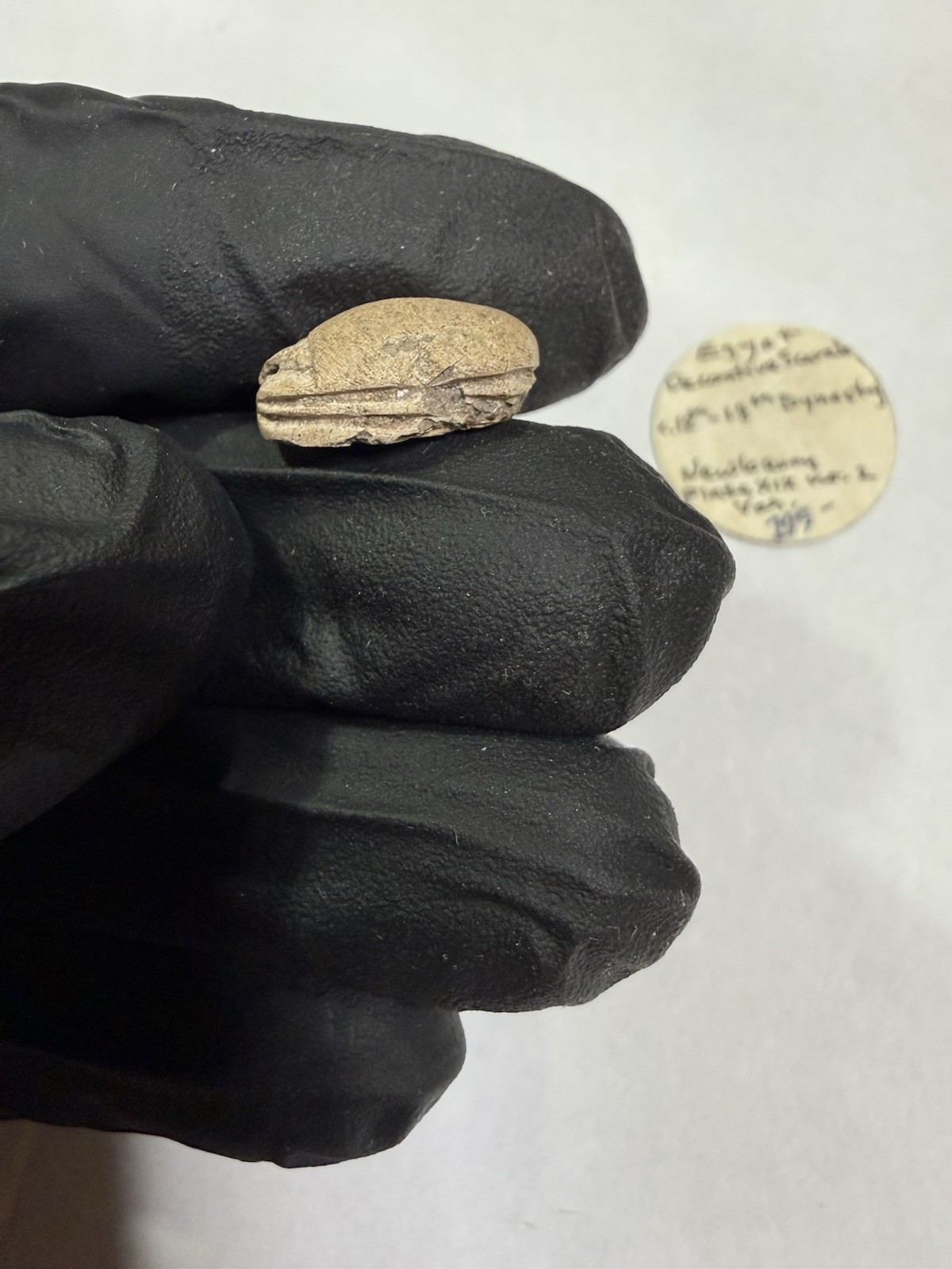Ancient Egyptian Scarab Ancient Egyptian Scarab