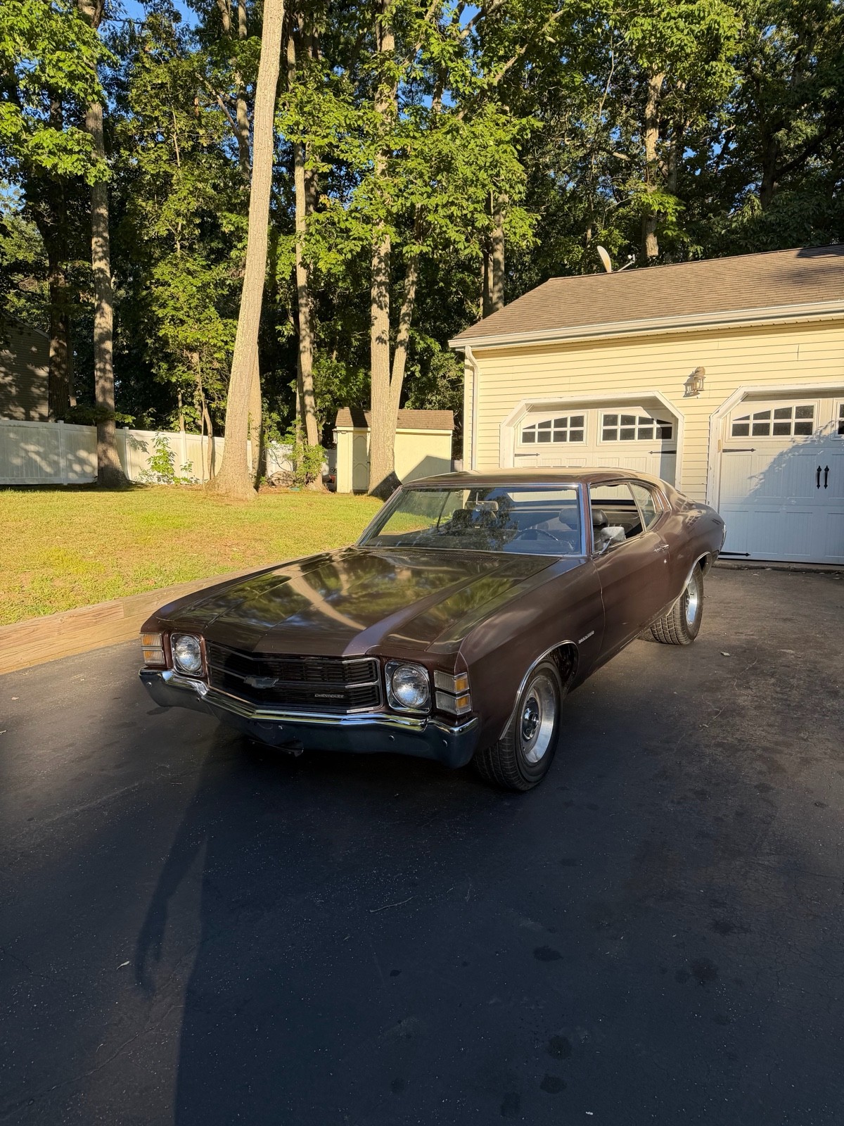 1971 Chevrolet Chevelle chevelle