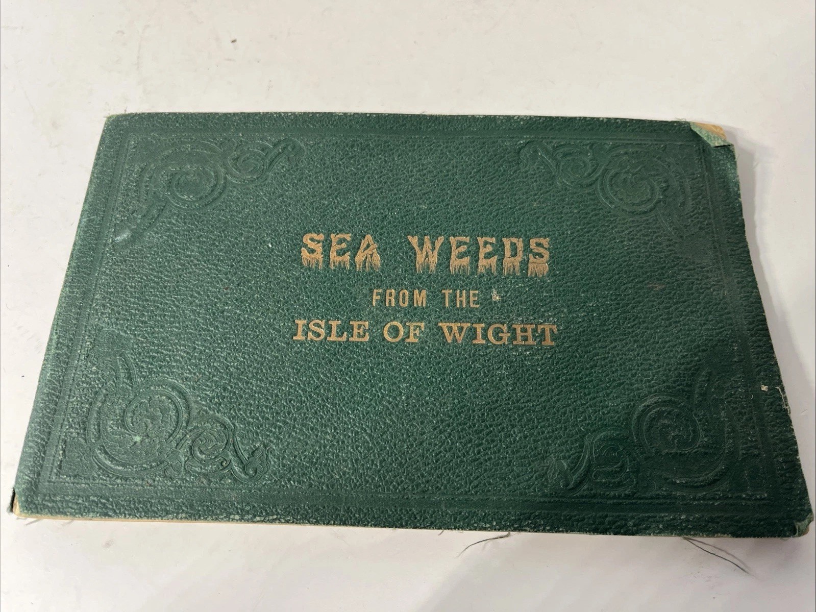 Antique Victorian Sea Weeds Specimen Album Herbarium Book Collection Antique Victorian Sea Weeds Specimen Album Herbarium Book Collection