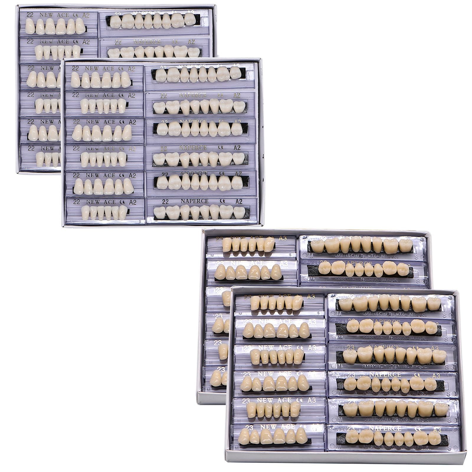 LVDXVG False Teeth Fake Model, 168pcs Upper and 168 pieces, White