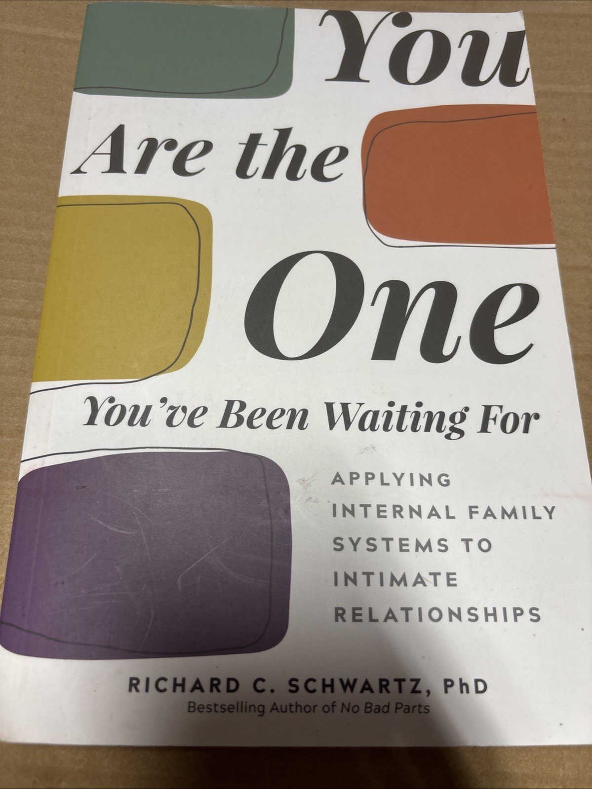 You Are the One You've Been Waiting For : Applying Internal Family Systems to... You Are the One You've Been Waiting For : Applying Internal Family Systems to...
