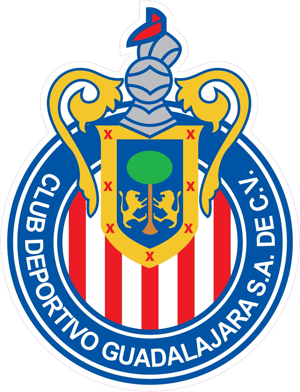 NOT A PATCH Chivas de Guadalajara Futbol Soccer HTV Heat Transfer Vinyl Iron On NOT A PATCH Chivas de Guadalajara Futbol Soccer HTV Heat Transfer Vinyl Iron On