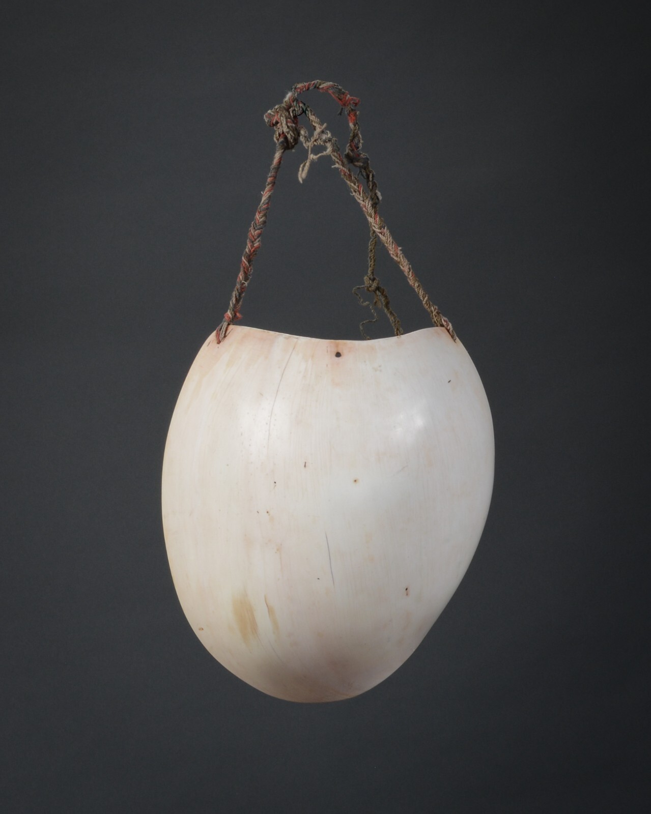 MAN’S PECTORAL, “Pakol”, Mendi Valley. Southern Highlands, Papua New Guinea