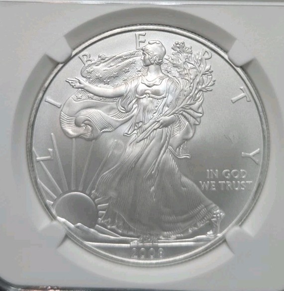 2008 W Silver Eagle $$1oz. 999 Silver NGC M69 2008 W Silver Eagle $$1oz. 999 Silver NGC M69