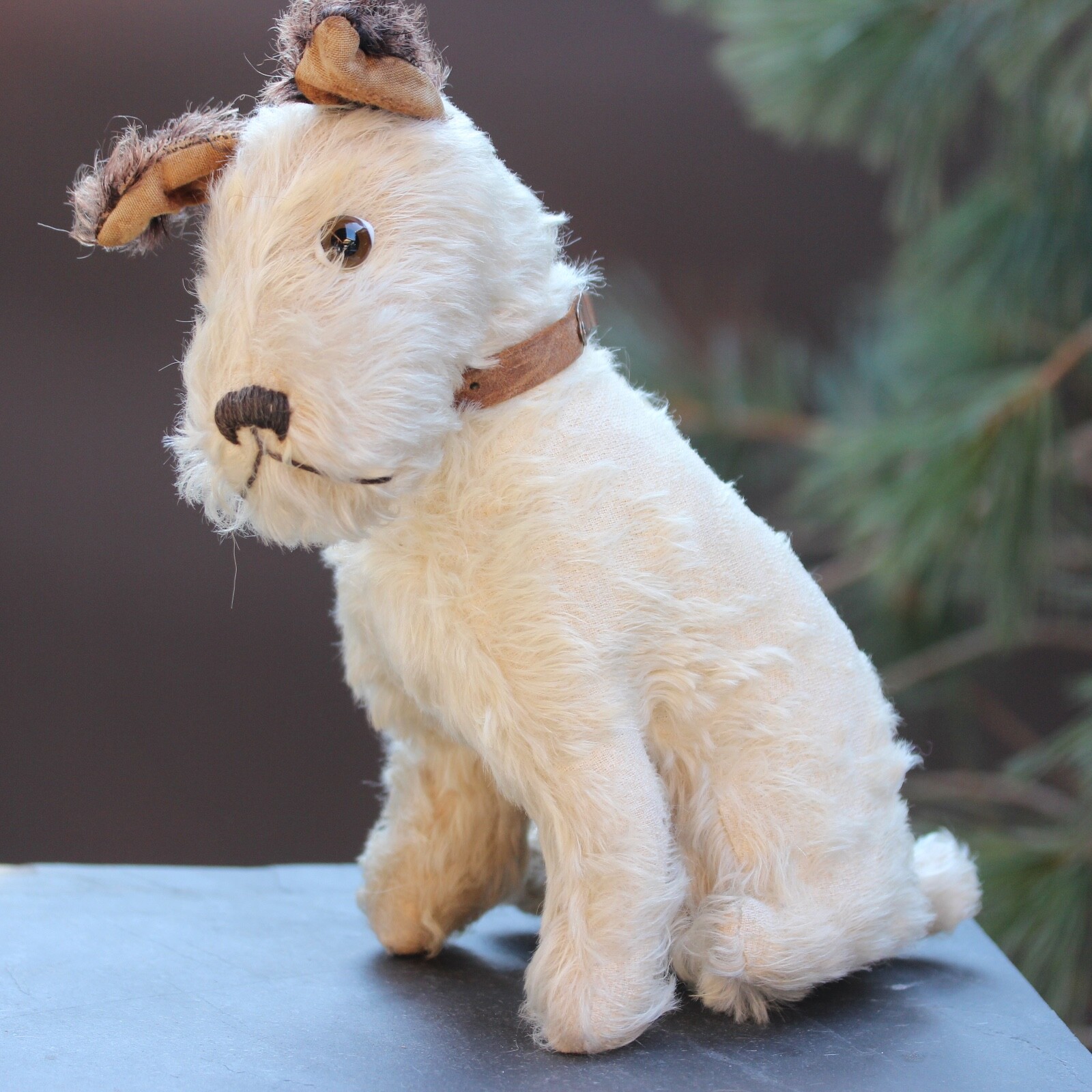 Very Rare Antique Foxy Terrier Pre-war Dog 1920s w Org. Neckband 11.4\ Very Rare Antique Foxy Terrier Pre-war Dog 1920s w Org. Neckband 11.4\