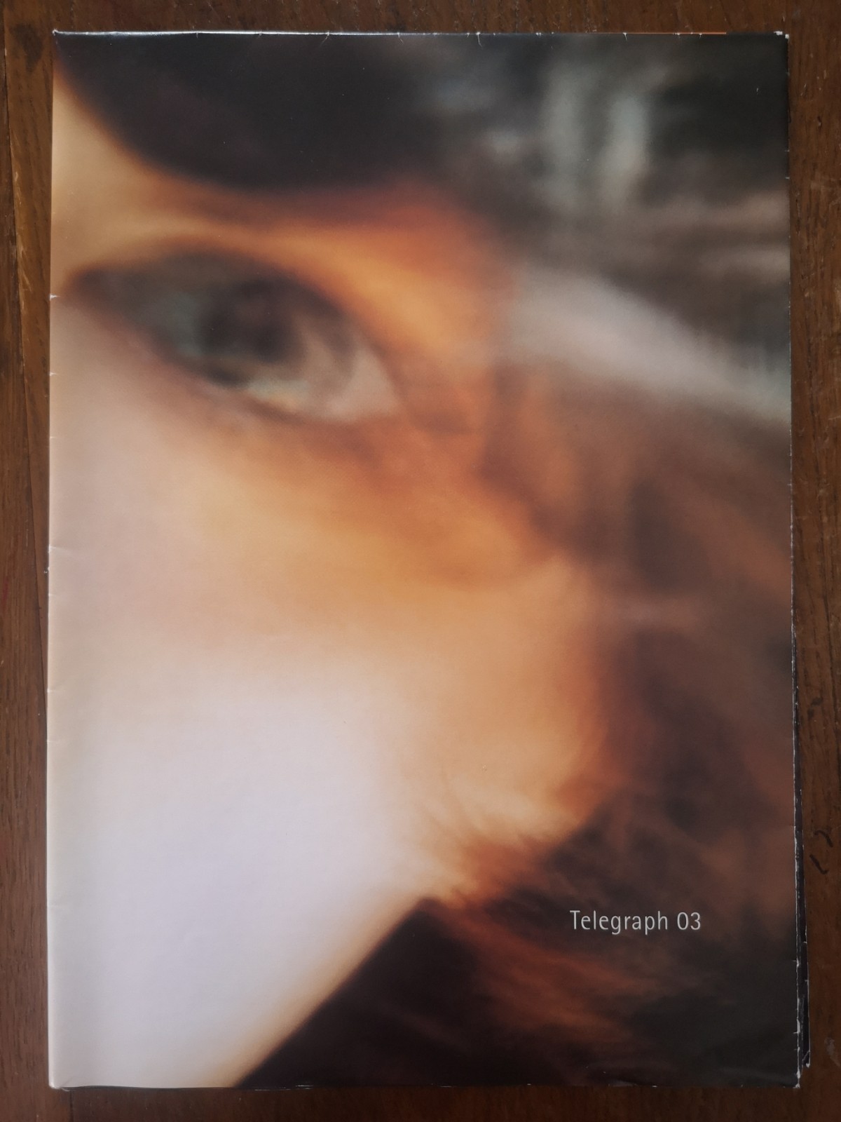 BJORK Telegraph 03 fan club Magazine poster 2000 Chris Cunningham Gondry Björk