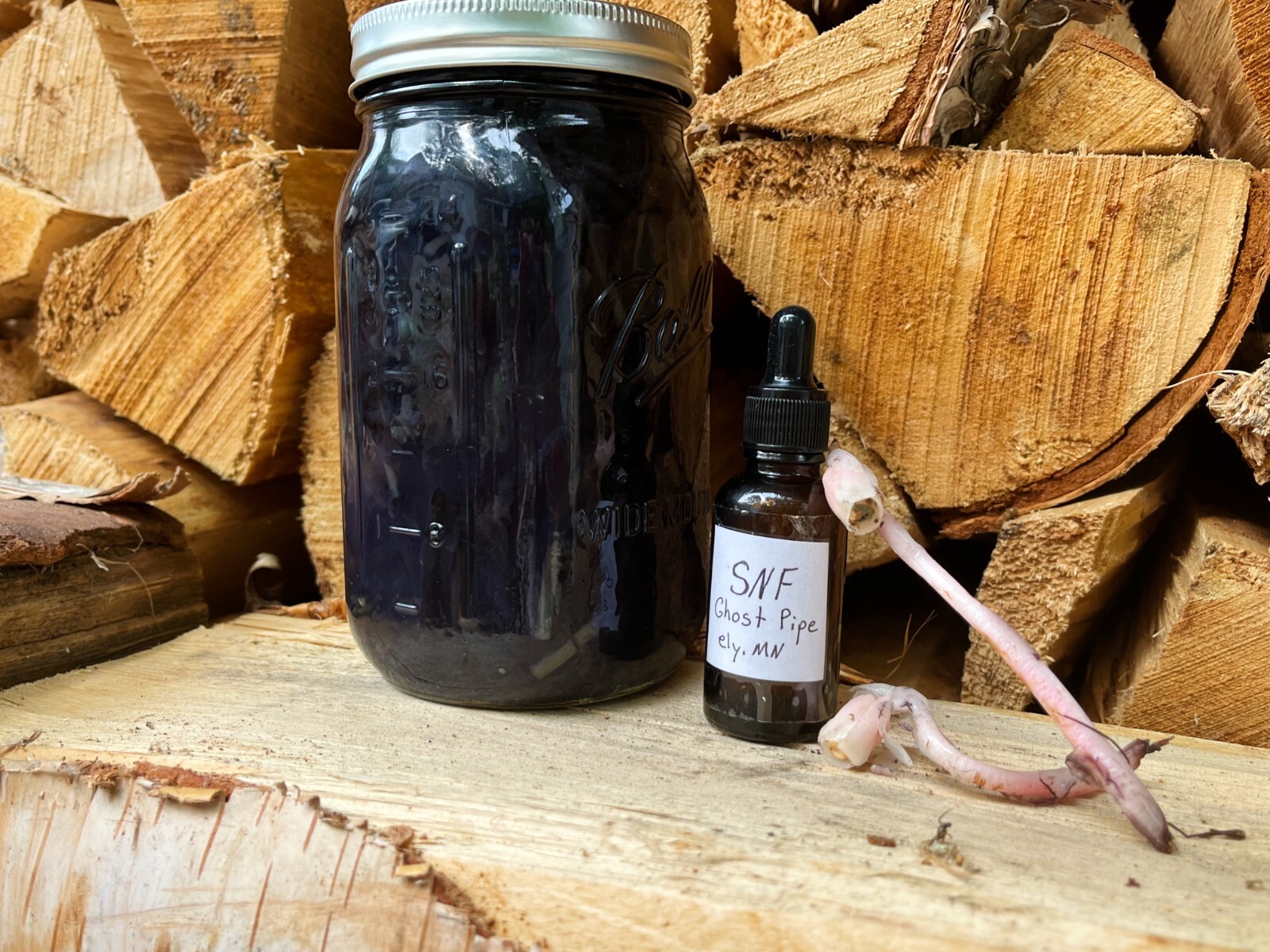 Ghost Pipe Tincture 2oz Wildcrafted in the Superior National Forest, Ely,BWCAW