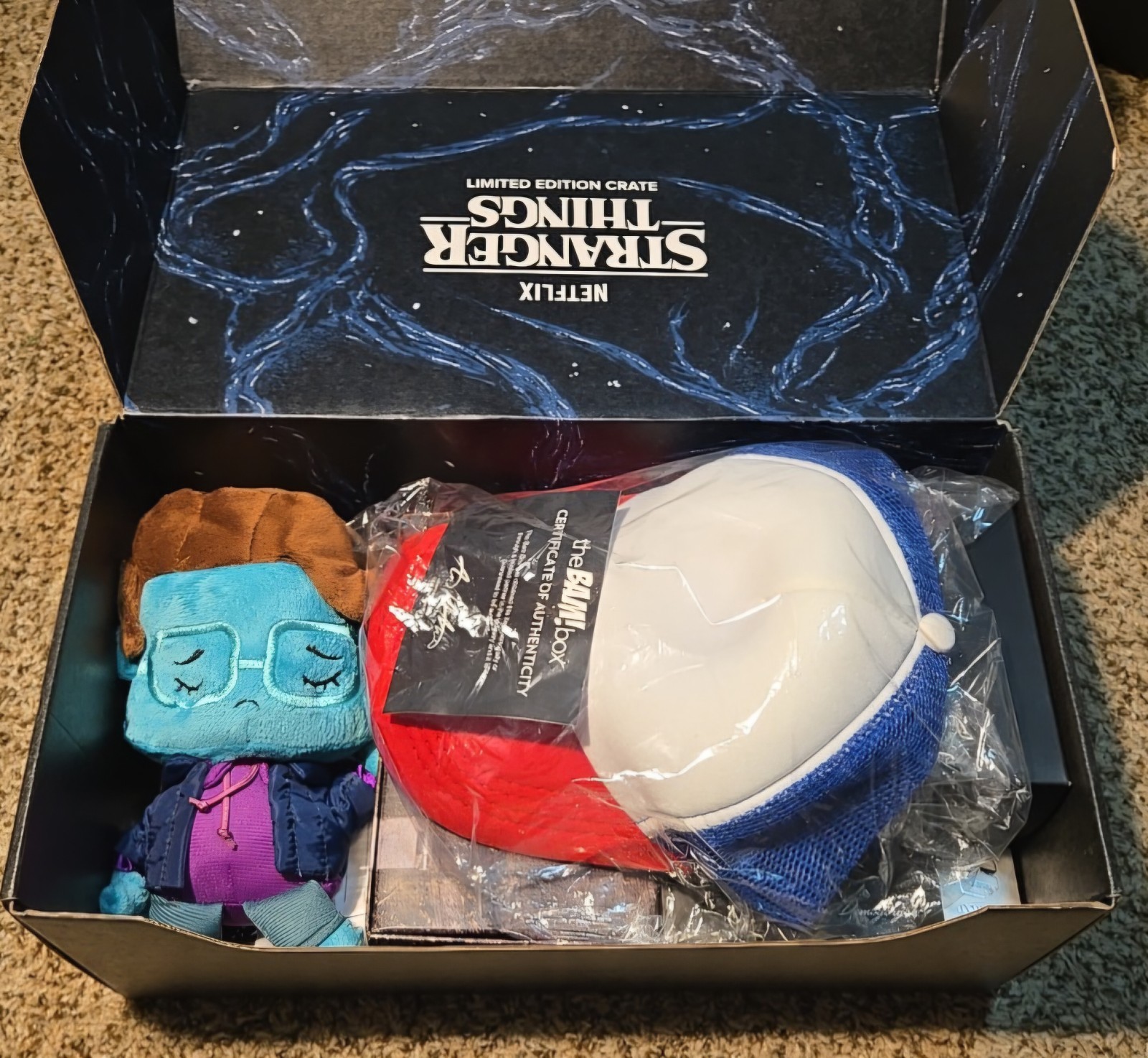 Netflix Stranger Things Limited Edition Crate AND Signed BAM Box Dustin Hat