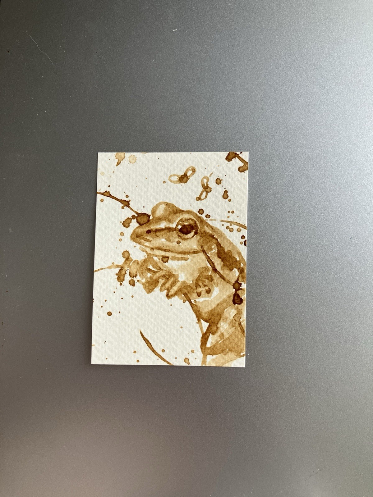 Original Frog Coffee Painting Miniature Realism Lover Aceo ATC Art Amphibians US