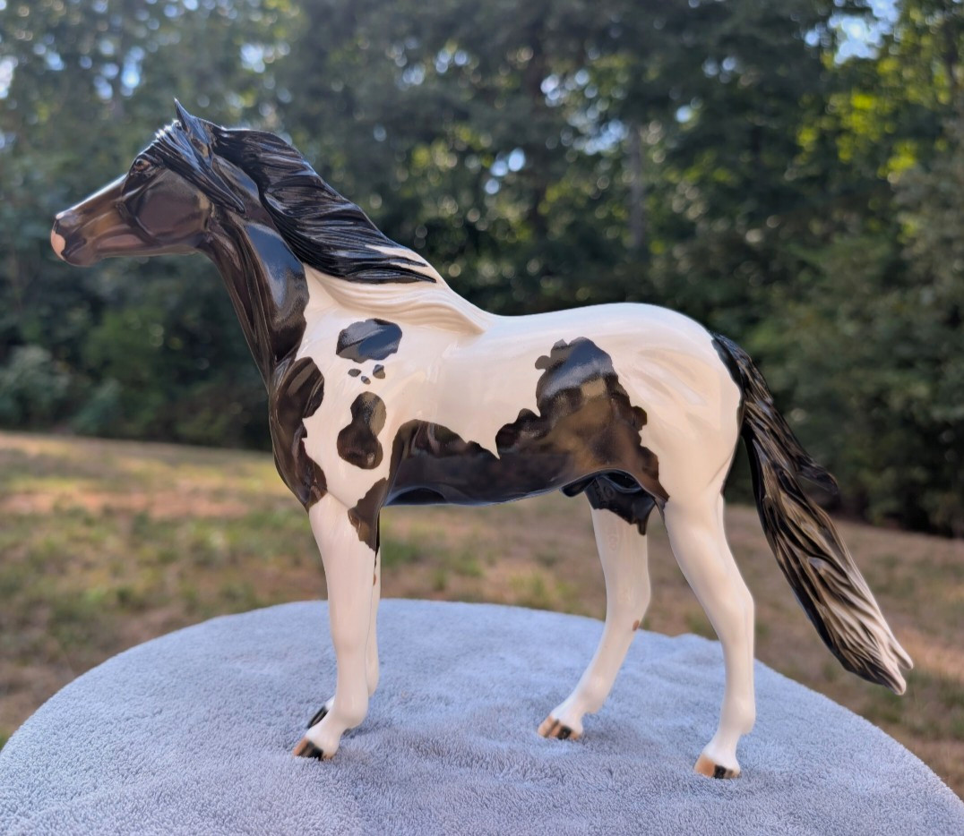 Peter Stone Glossy Mustang 