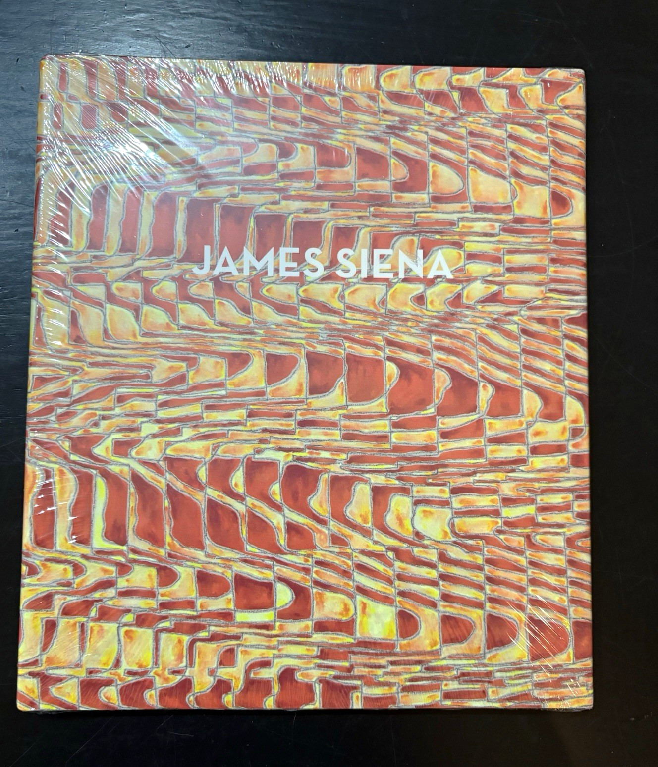 James Siena Hardcover Art Catalog Miles McEnery Gallery (English)