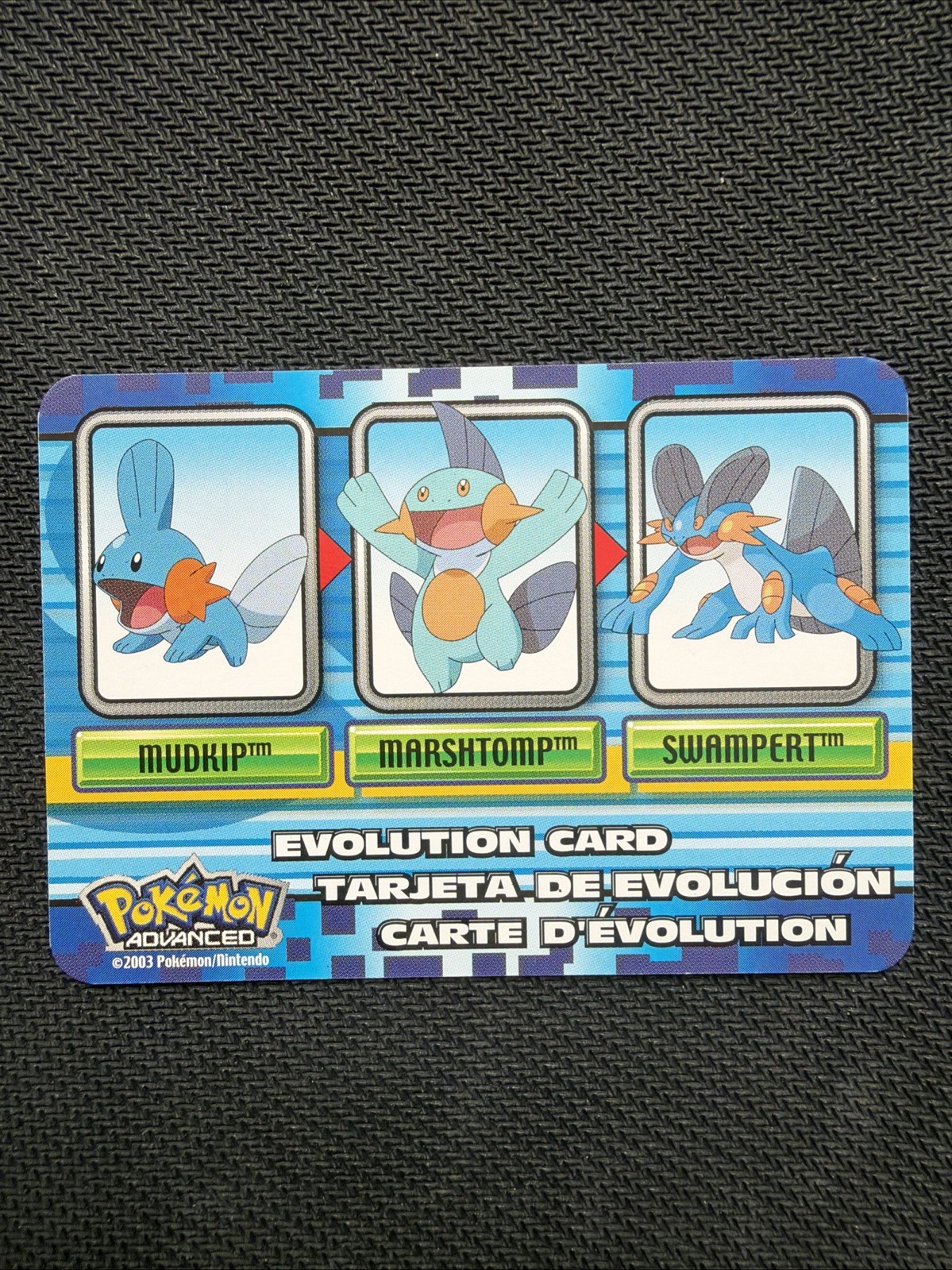 Pokemon Advanced Evolution 2003 Mudkip Marshtomp Swampert Checklist Card RARE NM Pokemon Advanced Evolution 2003 Mudkip Marshtomp Swampert Checklist Card RARE NM