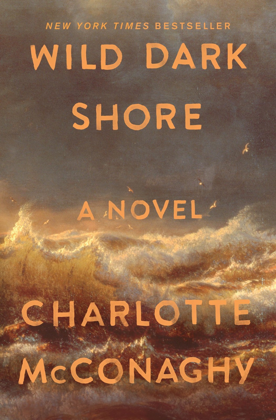 Wild Dark Shore: Reese\'s Book Club Pick (A Novel) Wild Dark Shore: Reese\'s Book Club Pick (A Novel)