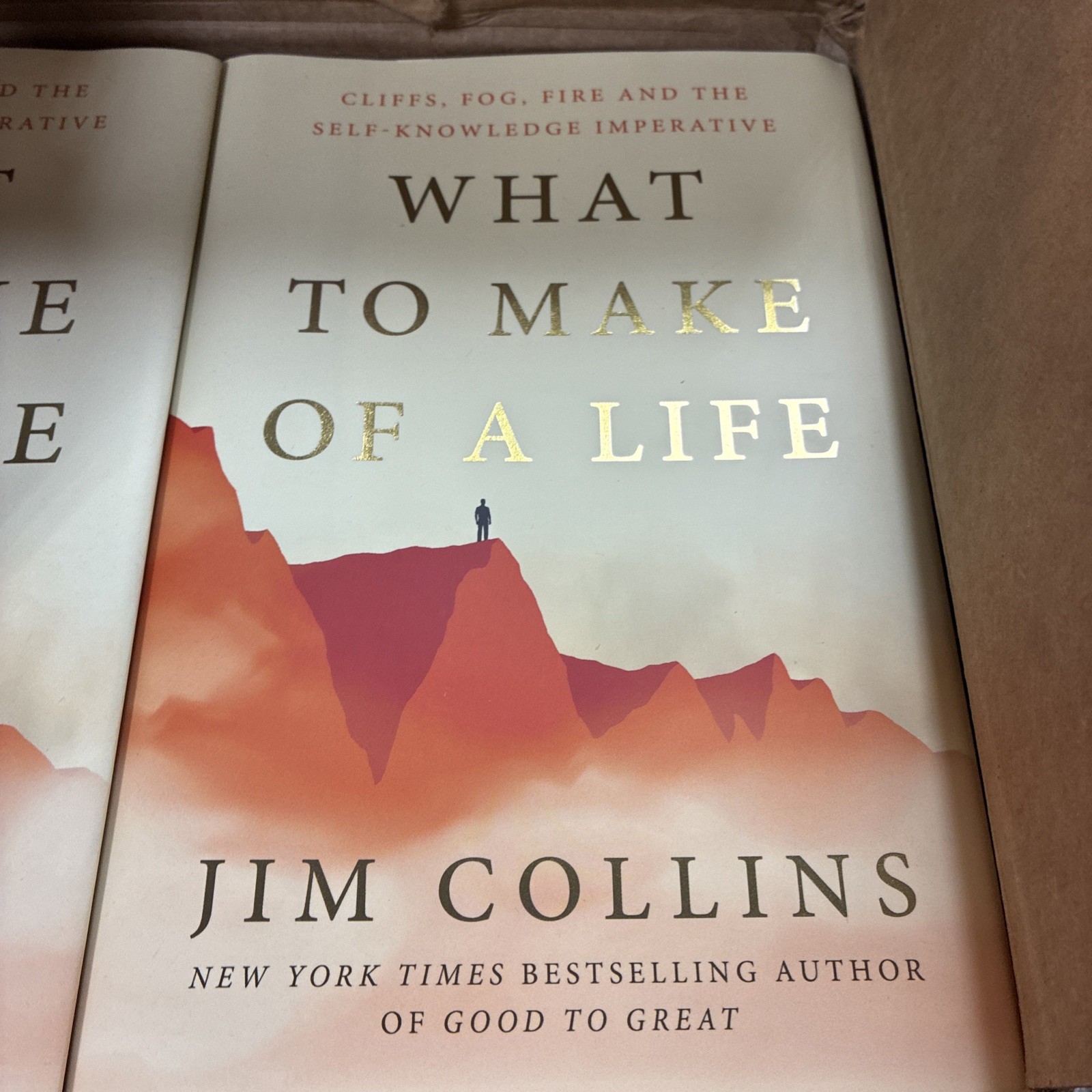 What to Make of a Life : Cliffs, Fog, Fire and the Self-Knowledge Imperative by